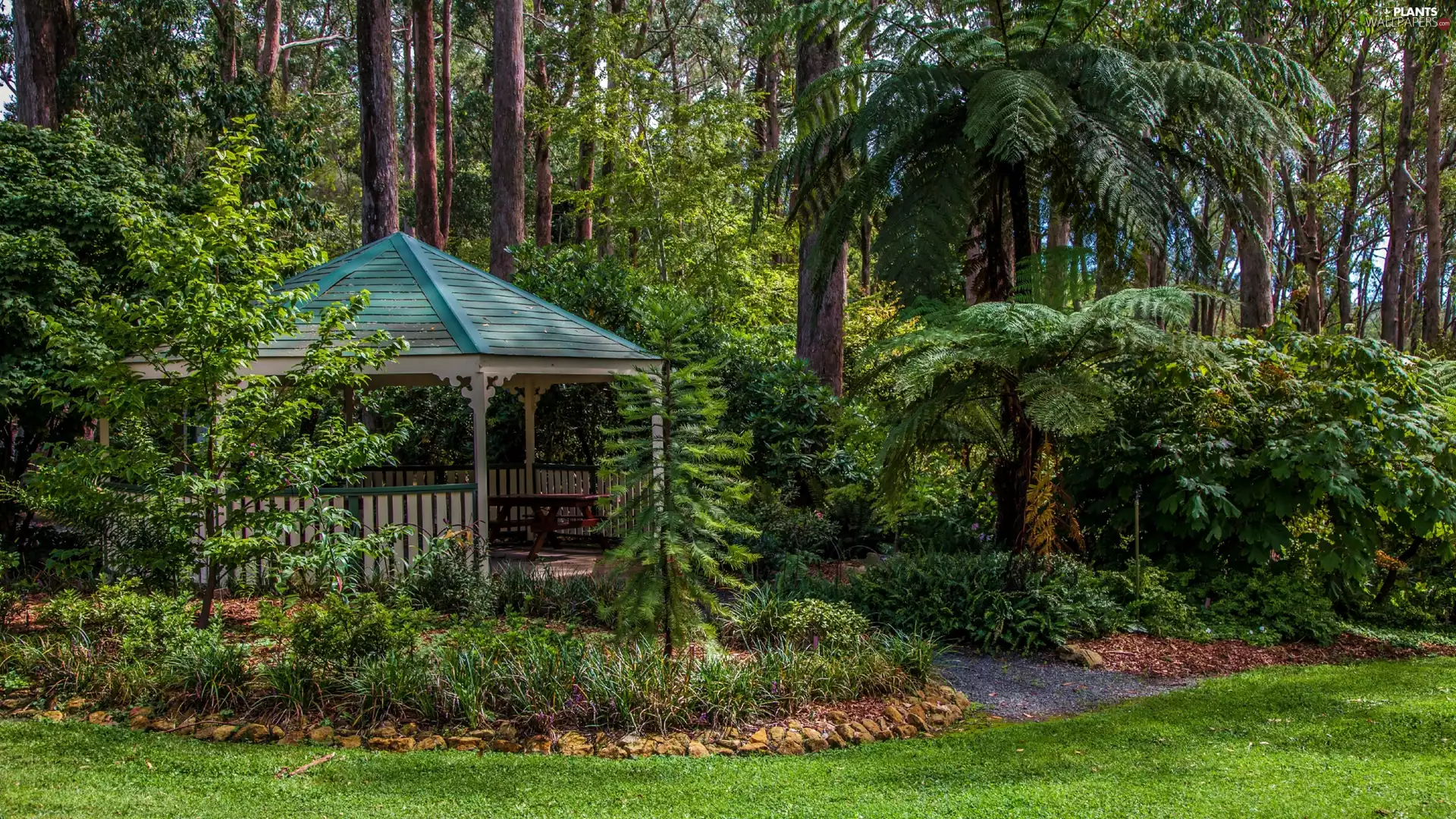 Bush, Australia, viewes, arbour, trees, Mount Lofty Botanic Garden