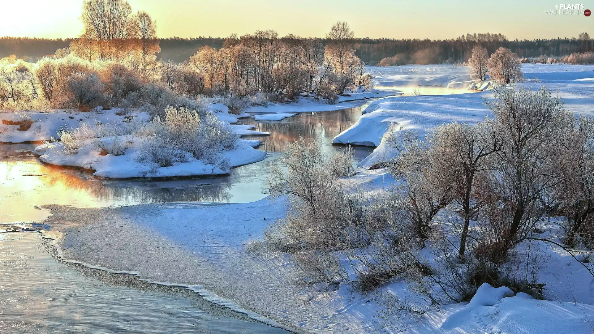 frosty, winter, viewes, Bush, trees, River