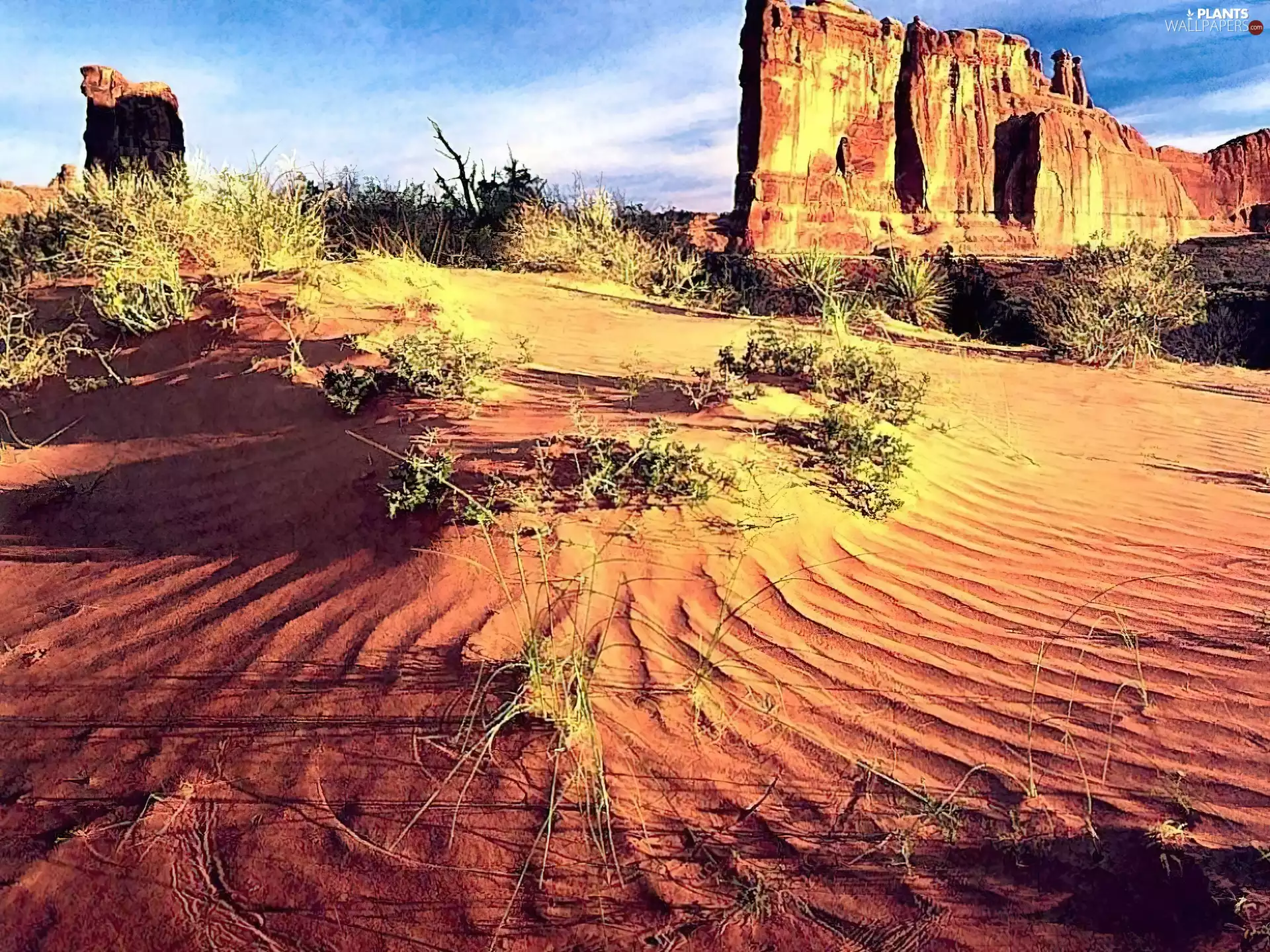 Bush, Mountains, Sand