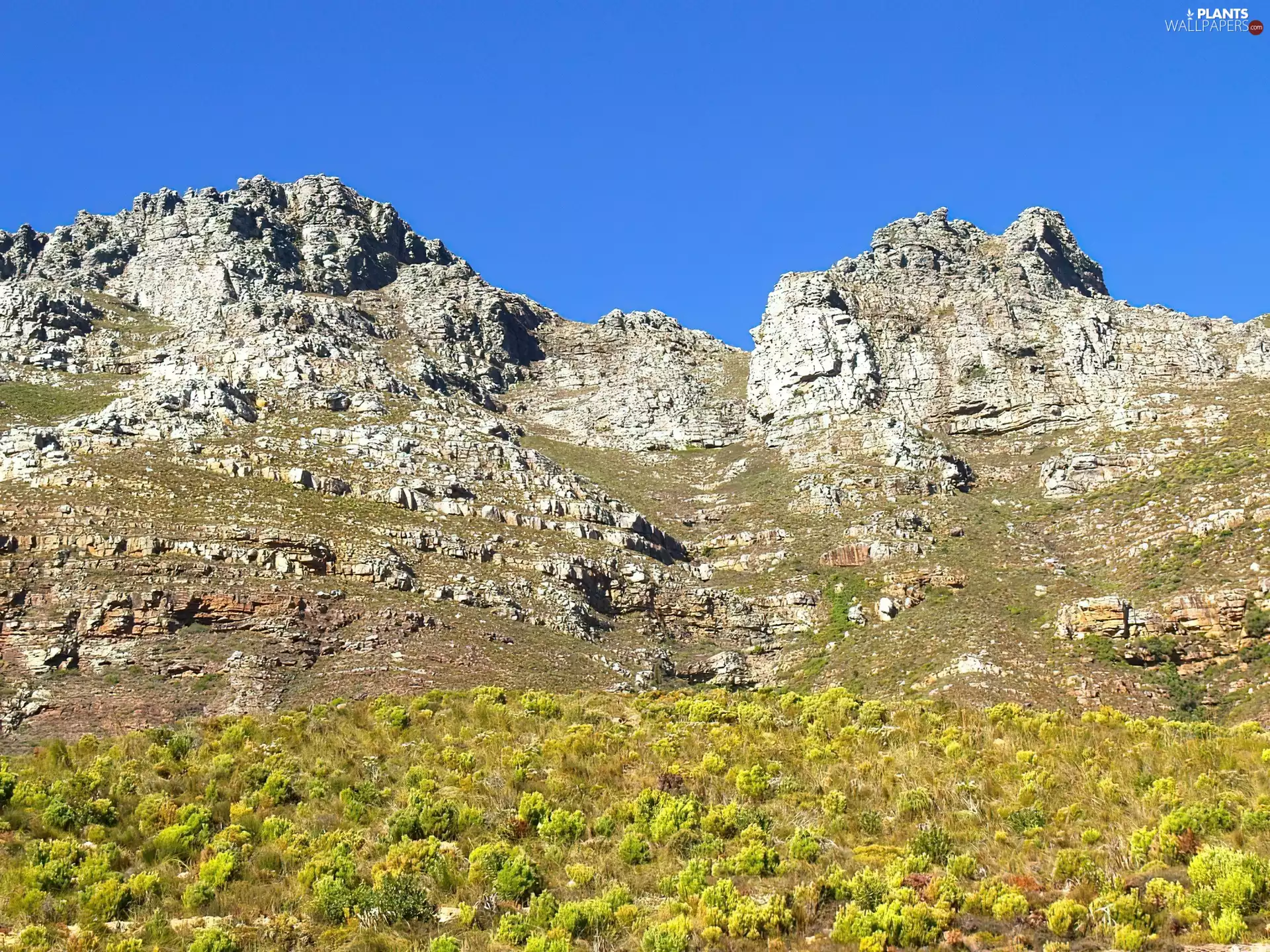 Bush, Mountains, Sky