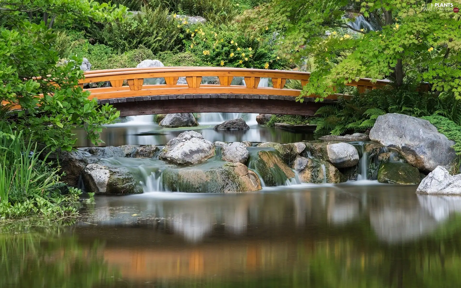 rocks, Park, trees, bridge, River, Bush, viewes