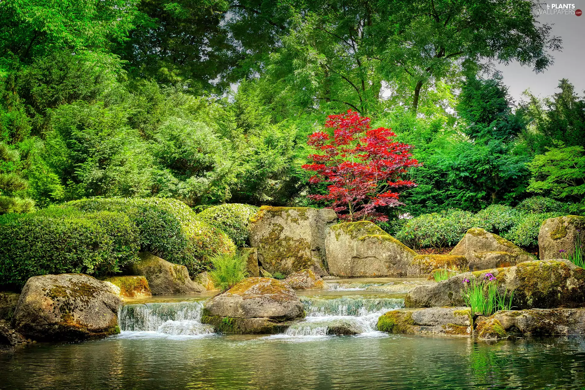 boulders, stream, viewes, Stones, Japanese Garden, trees, Bush