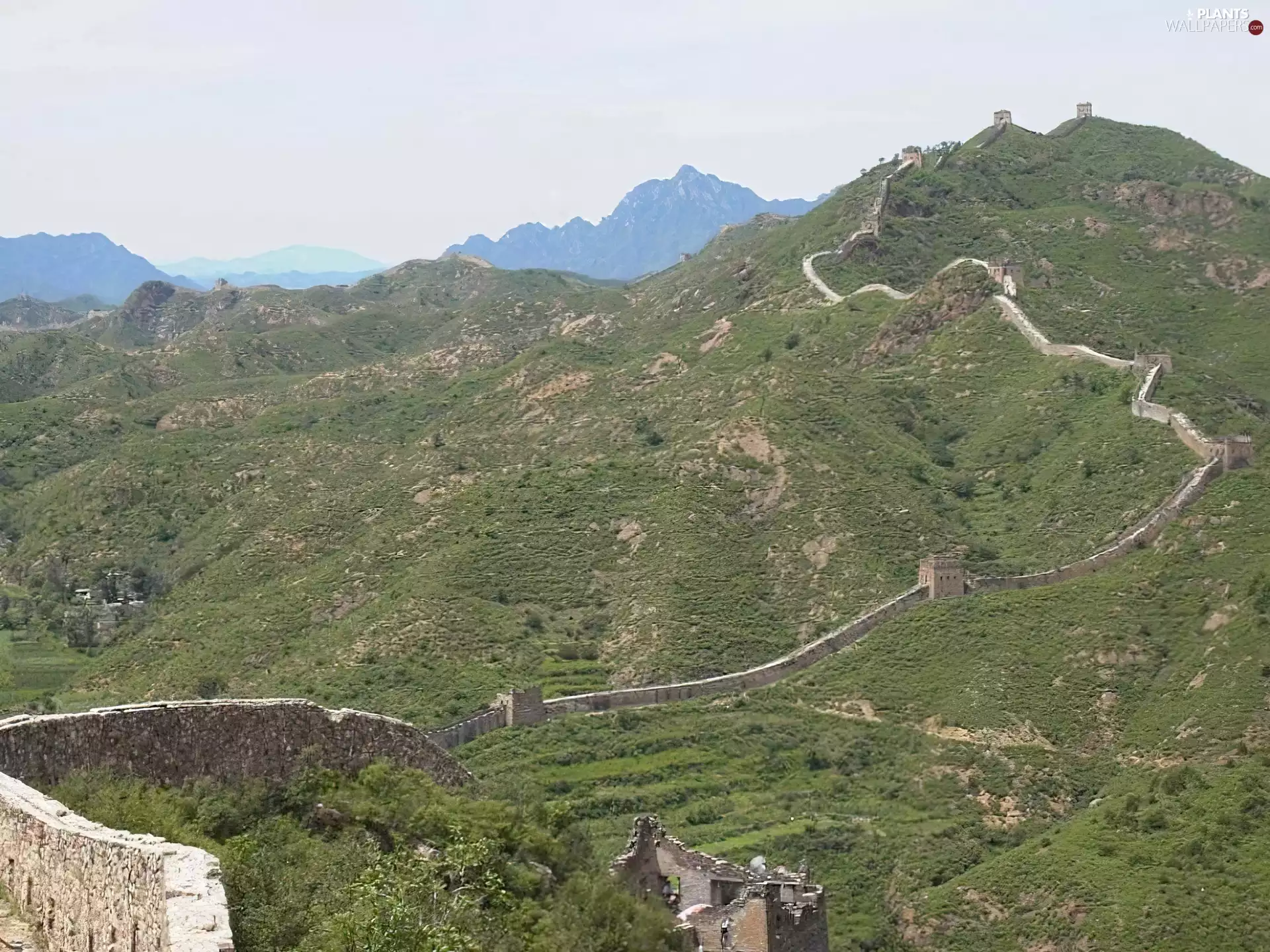 Bush, Mountains, wall