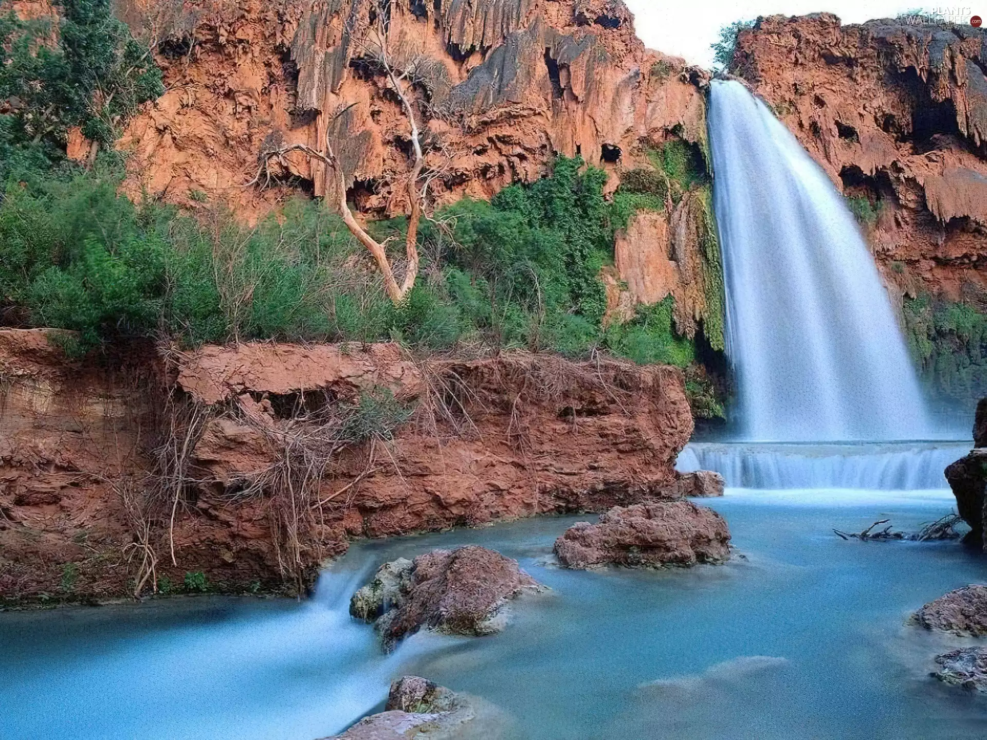 Bush, Mountains, waterfall