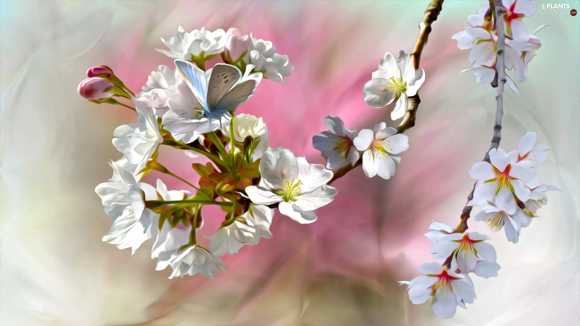 Twigs, butterfly, graphics, Fruit Tree