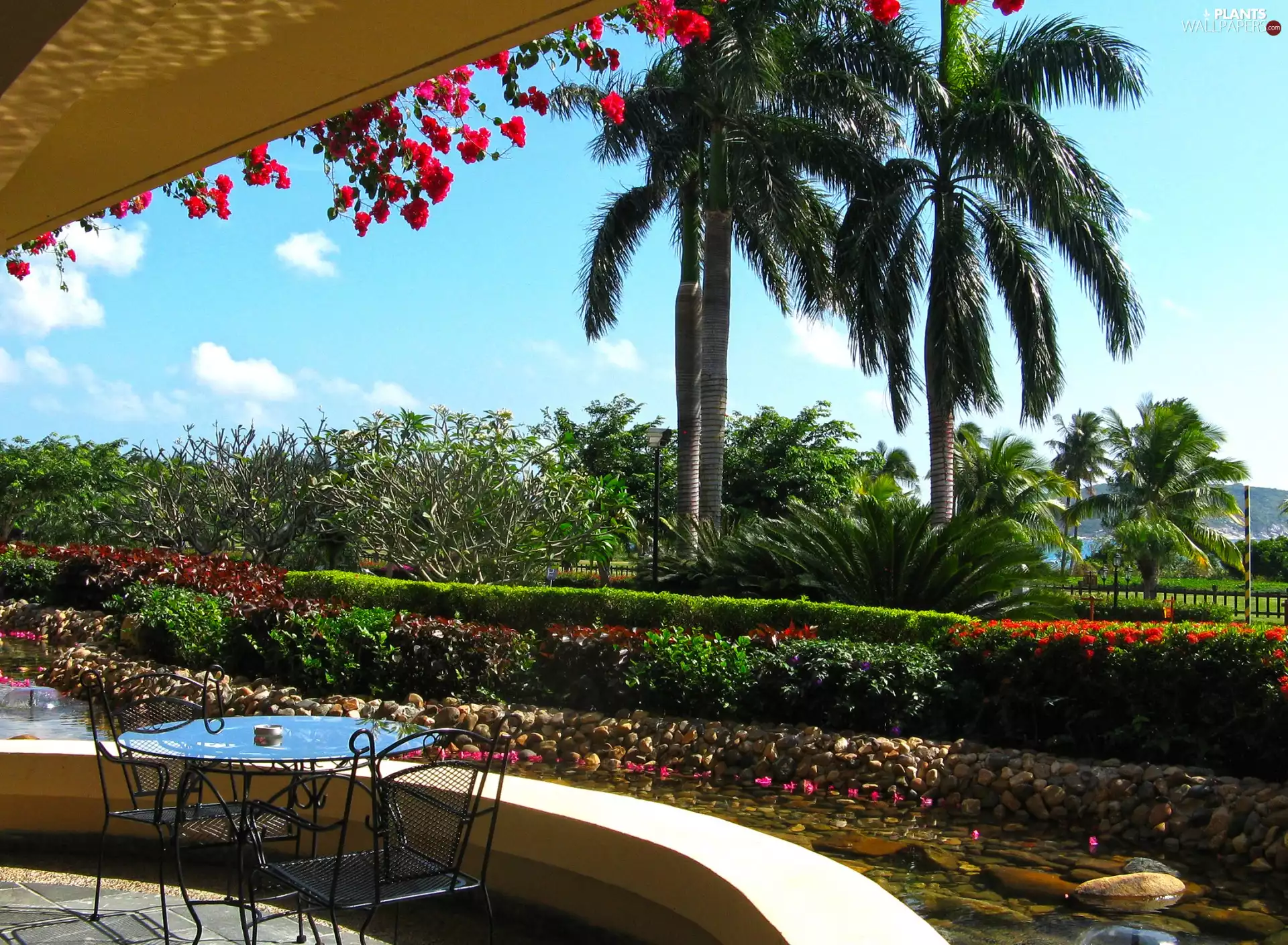 cafeteria, Park, Palms