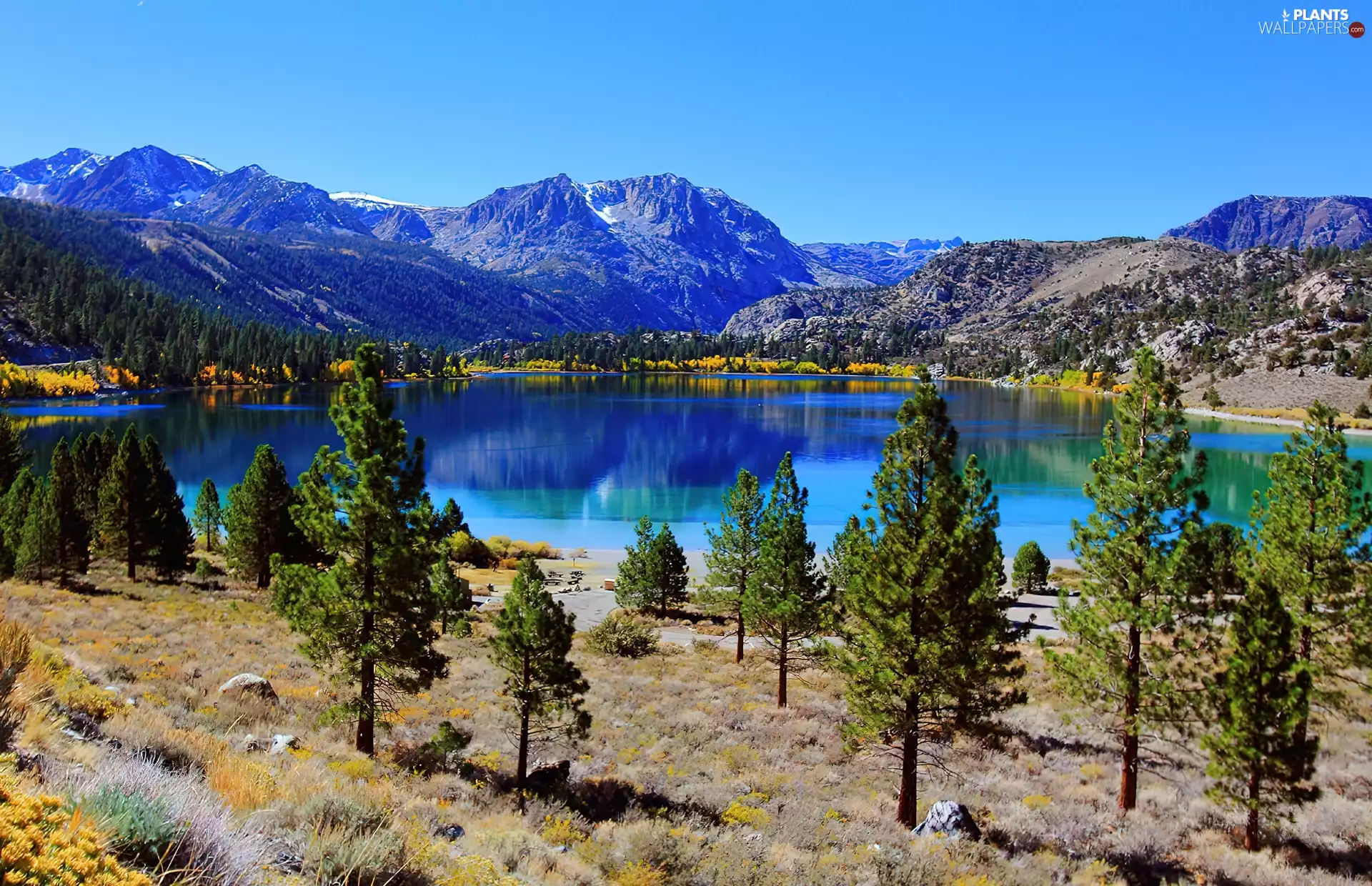 Mountains, California, trees, viewes, lake