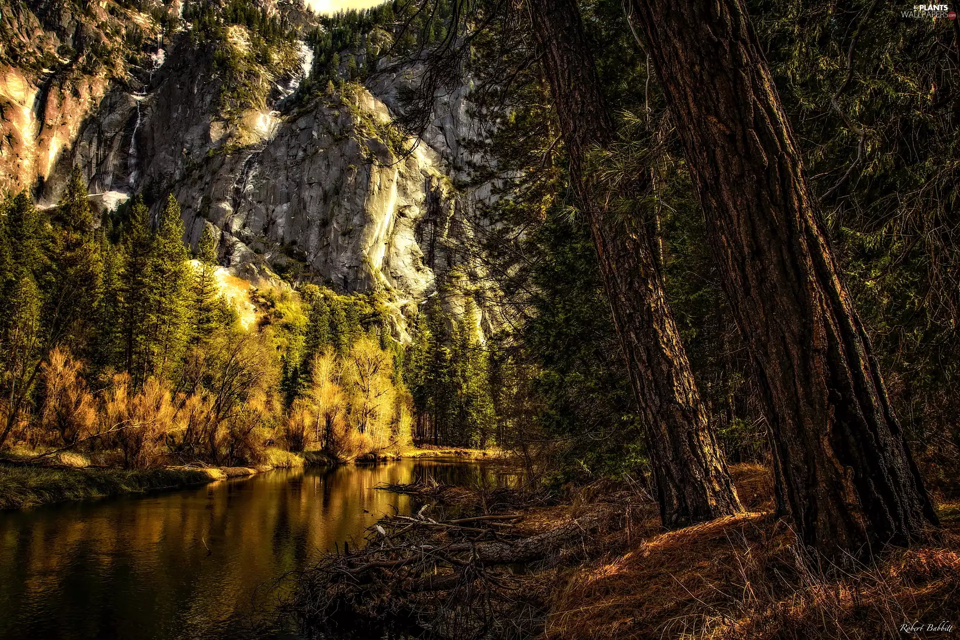 Mountains, State of California, viewes, Yosemite National Park, The United States, trees, forest