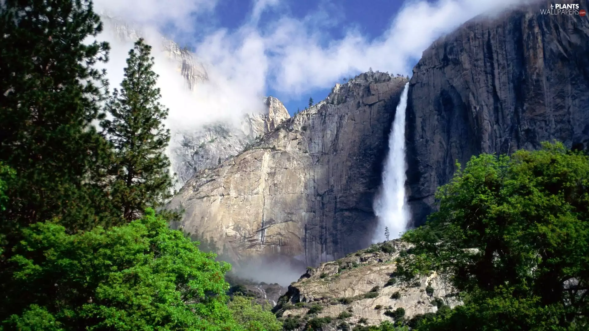 waterfall, State of California, viewes, Yosemite National Park, The United States, trees, Mountains