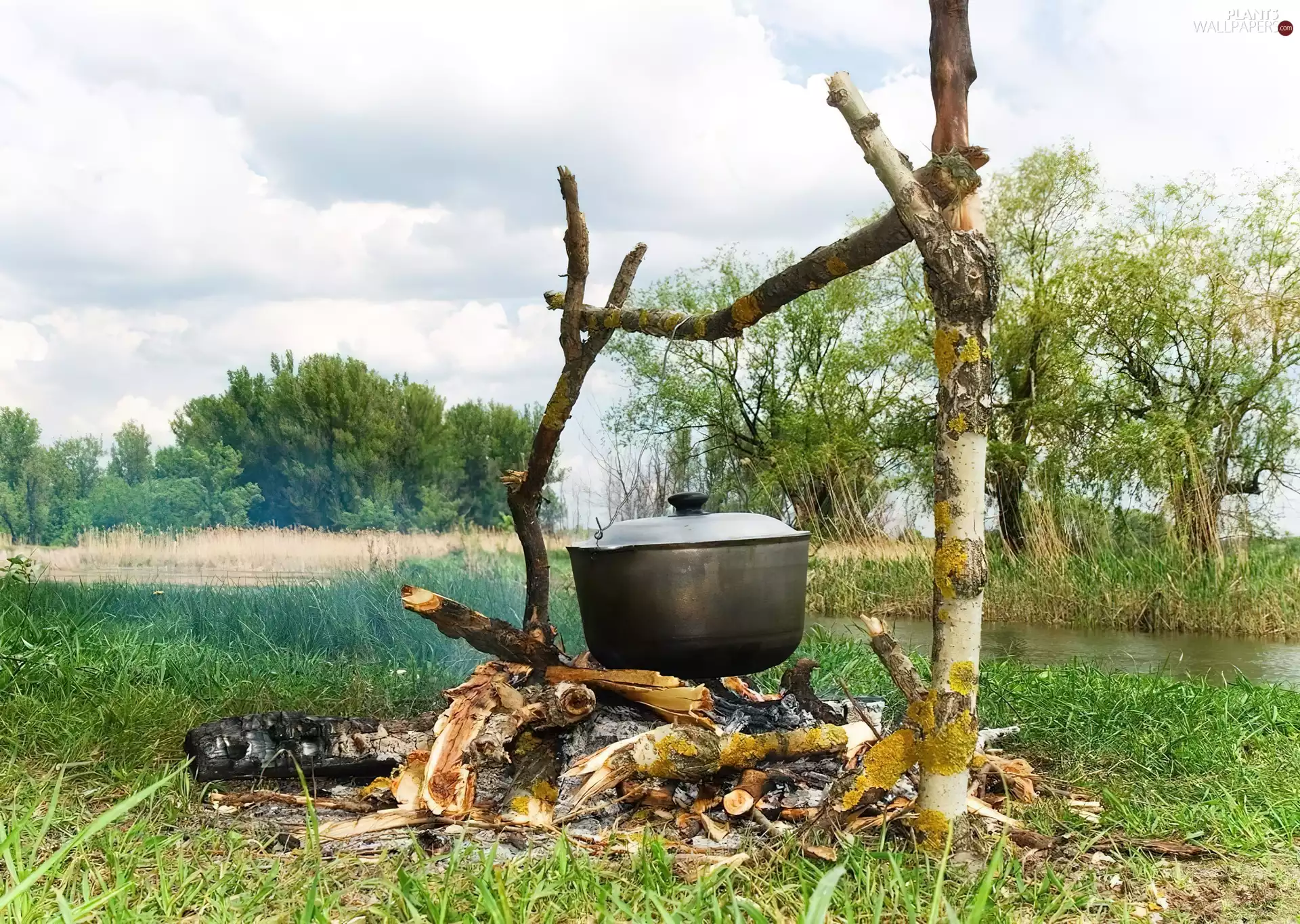 trees, River, fire, camping, viewes, Meadow