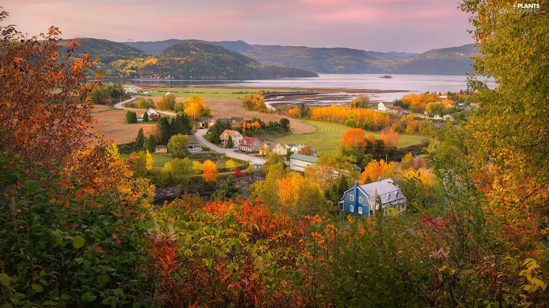 trees, Quebec Province, Mountains, country, Houses, Canada, autumn, field, viewes, Way