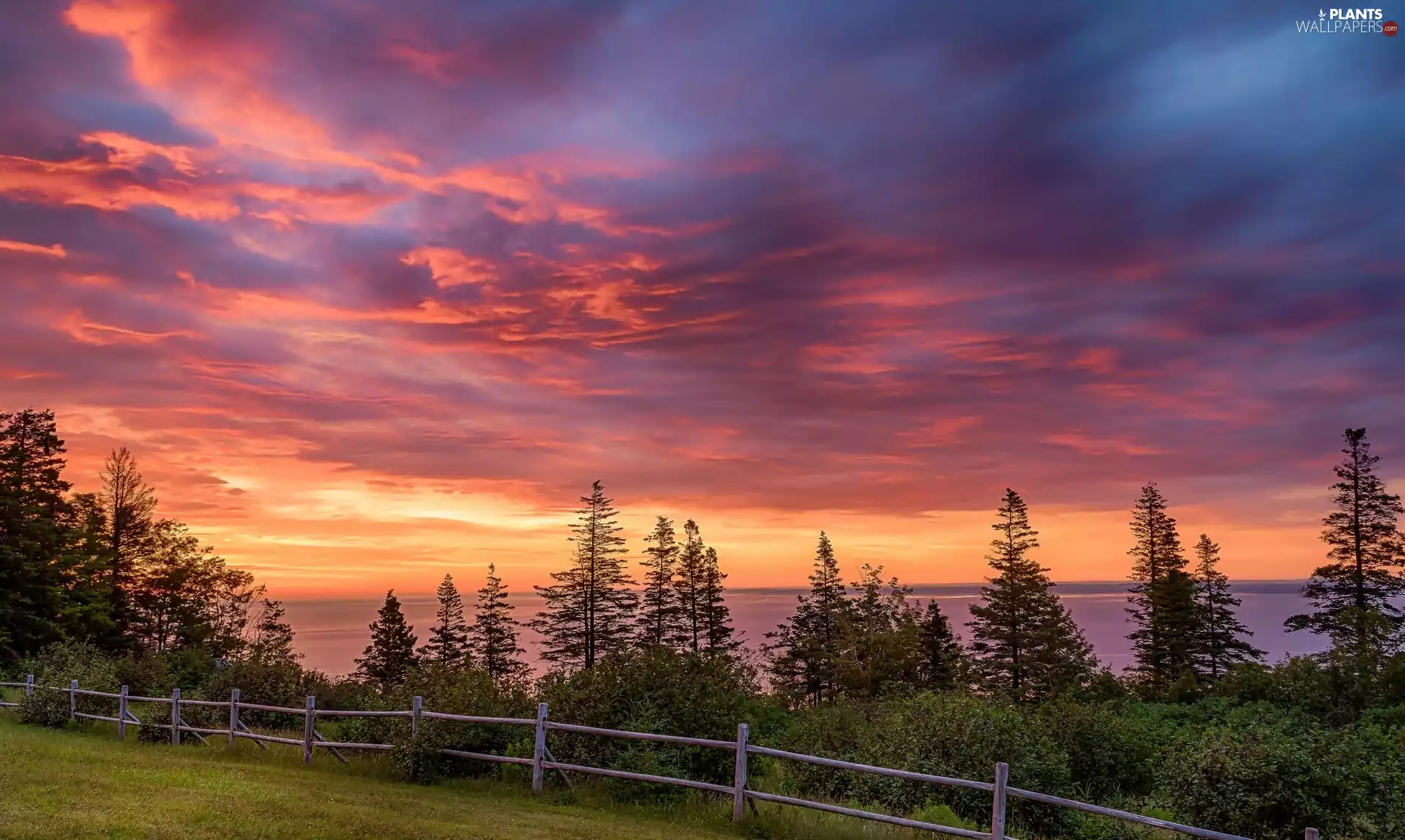 Bay Minas Basin, Nova Scotia, fence, Provincial Park Blomidon, Canada, Sunrise, sea