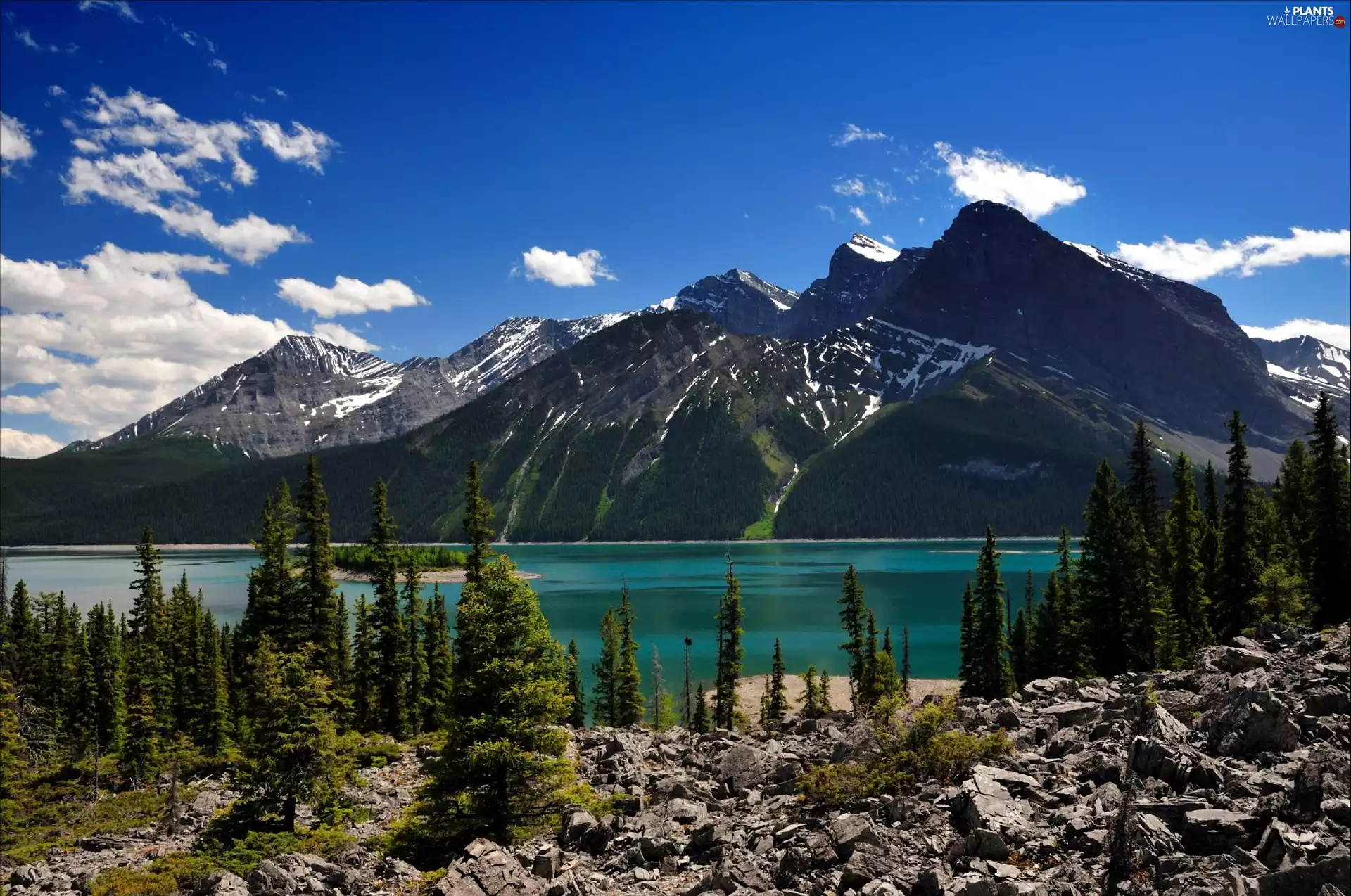 trees, Mountains, Alberta, Canada, viewes, lake