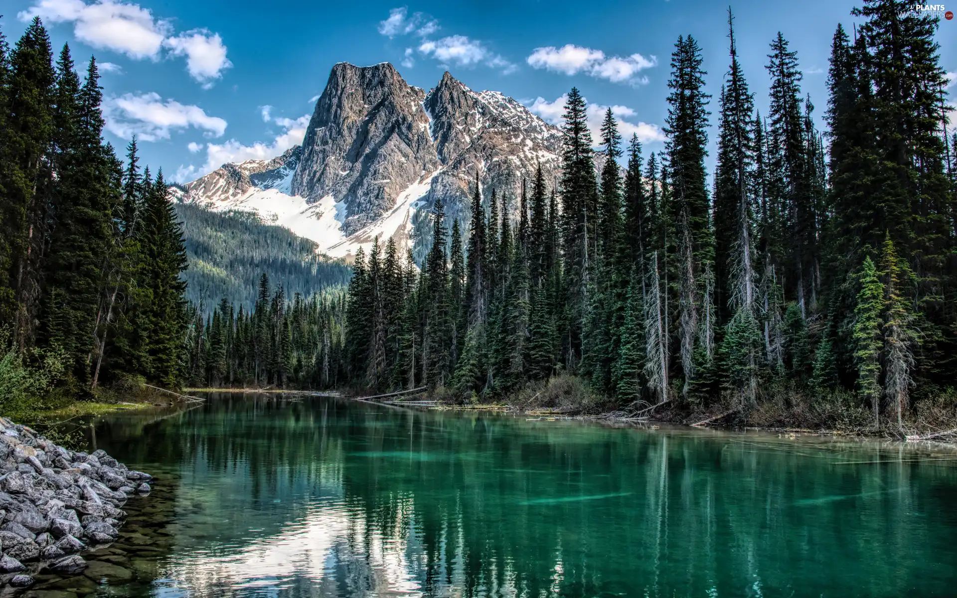 Mountains, Yoho National Park, trees, woods, clouds, Canada, British Columbia, Emerald Lake, lake, Stones, viewes