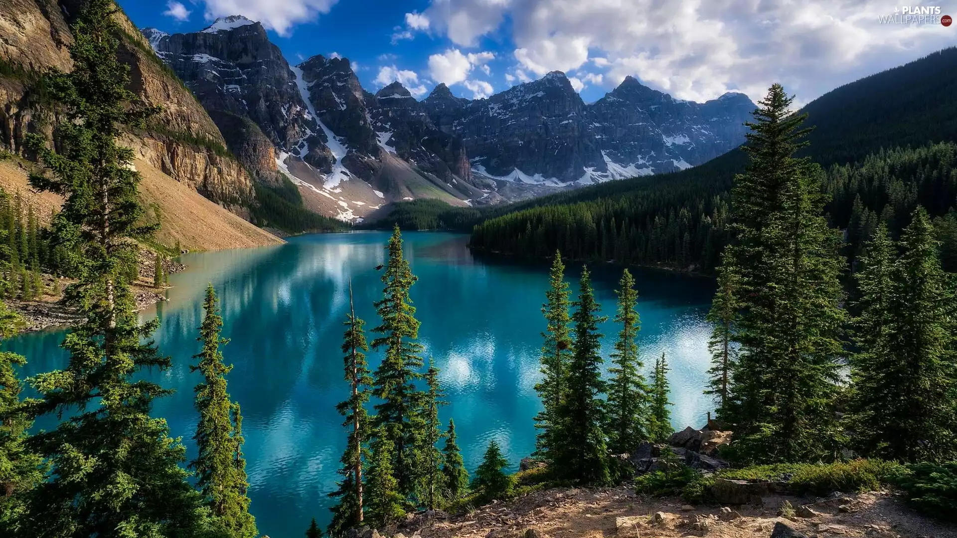 Lake Moraine, Province of Alberta, viewes, Banff National Park, Canada, trees, clouds