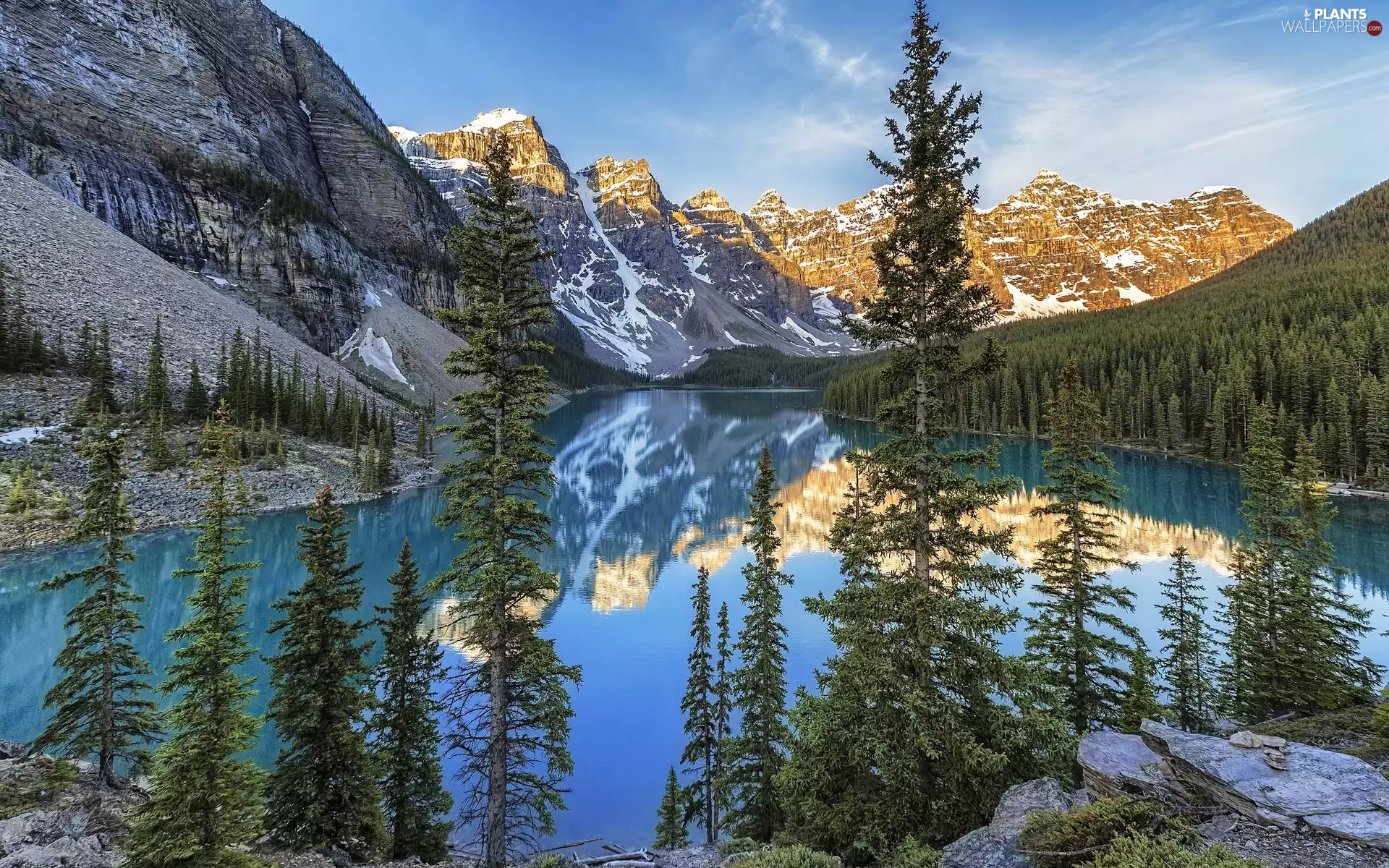 Lake Moraine, Province of Alberta, viewes, Banff National Park, Canada, trees, Spruces