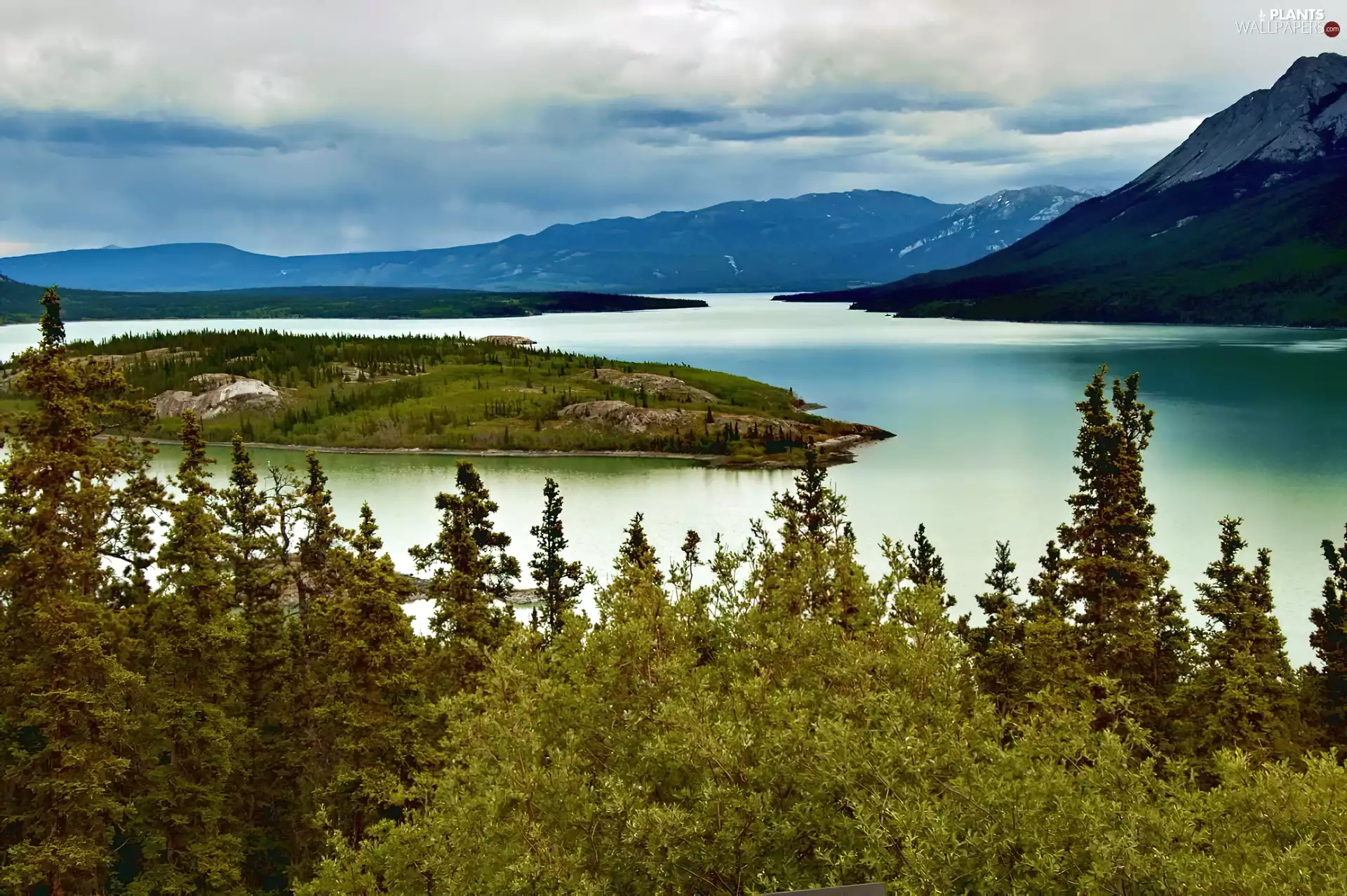 viewes, River, Yukon, Canada, Mountains, trees
