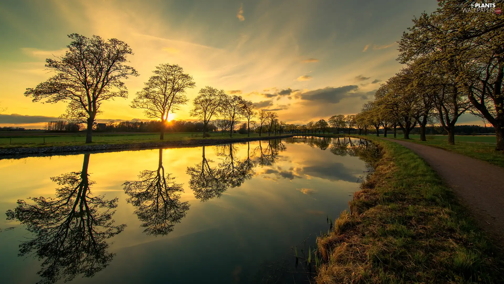 Way, River, viewes, canal, Sunrise, trees, reflection