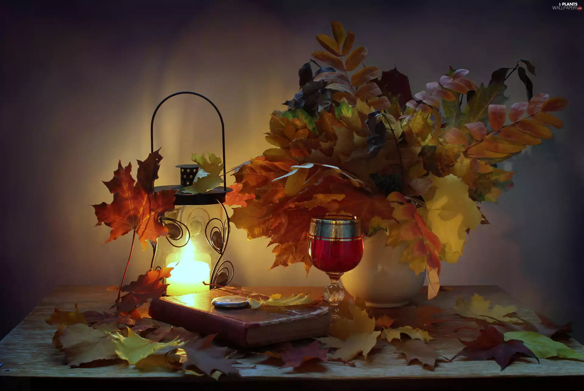 Twigs, Leaf, glass, lantern, Book, Vase, composition, candle