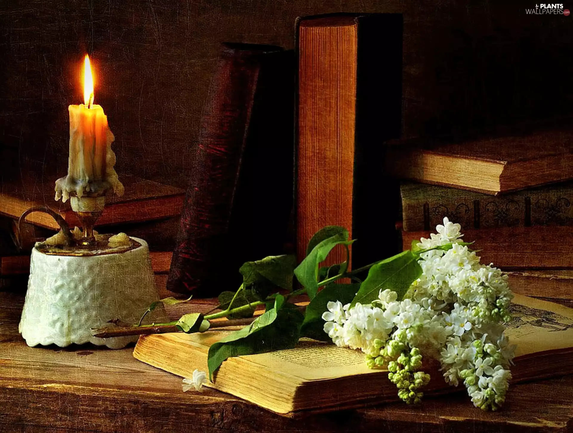 Book, candle, White, without, composition