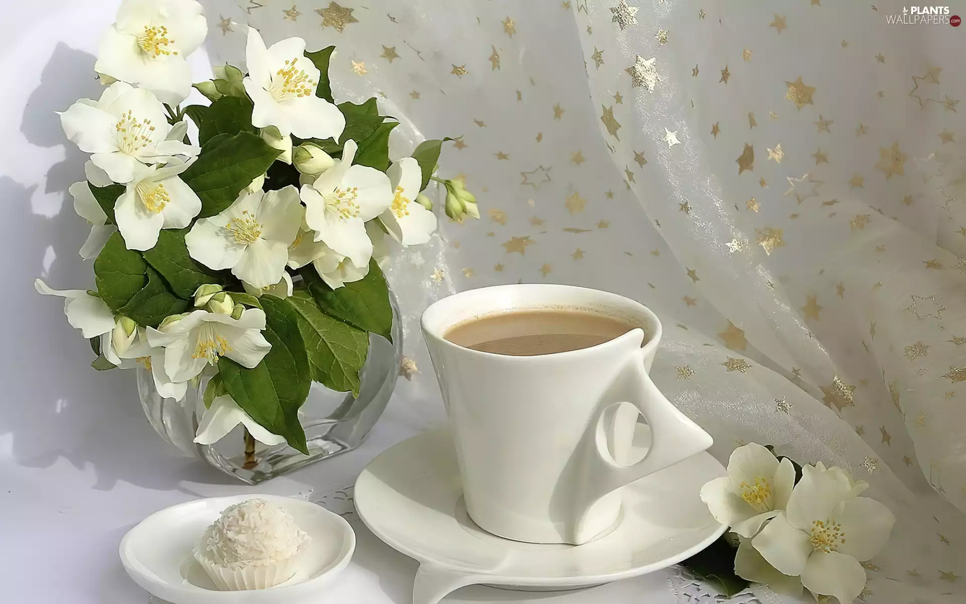 jasmine, Rafaello, coffee, candy