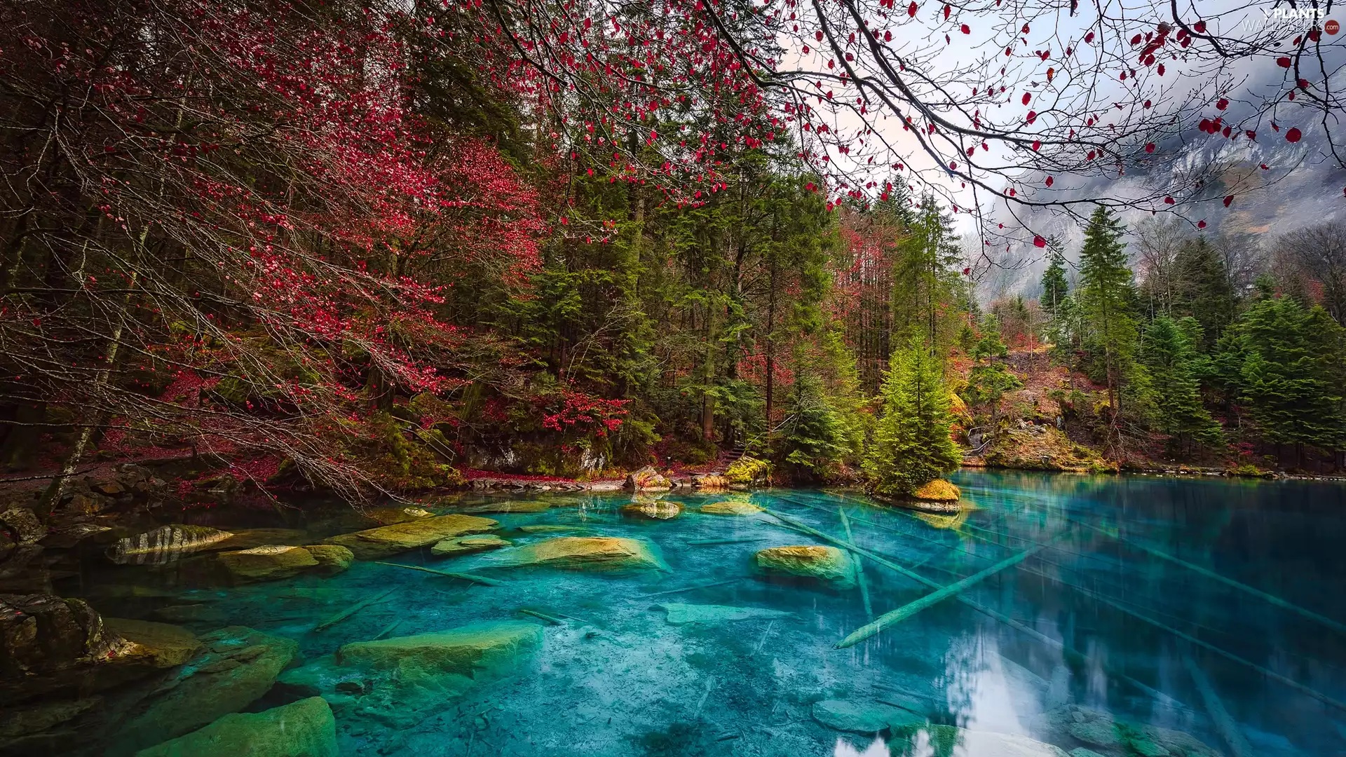 Blausee Lake, Stones, viewes, autumn, trees, Canton of Bern, Switzerland, forest