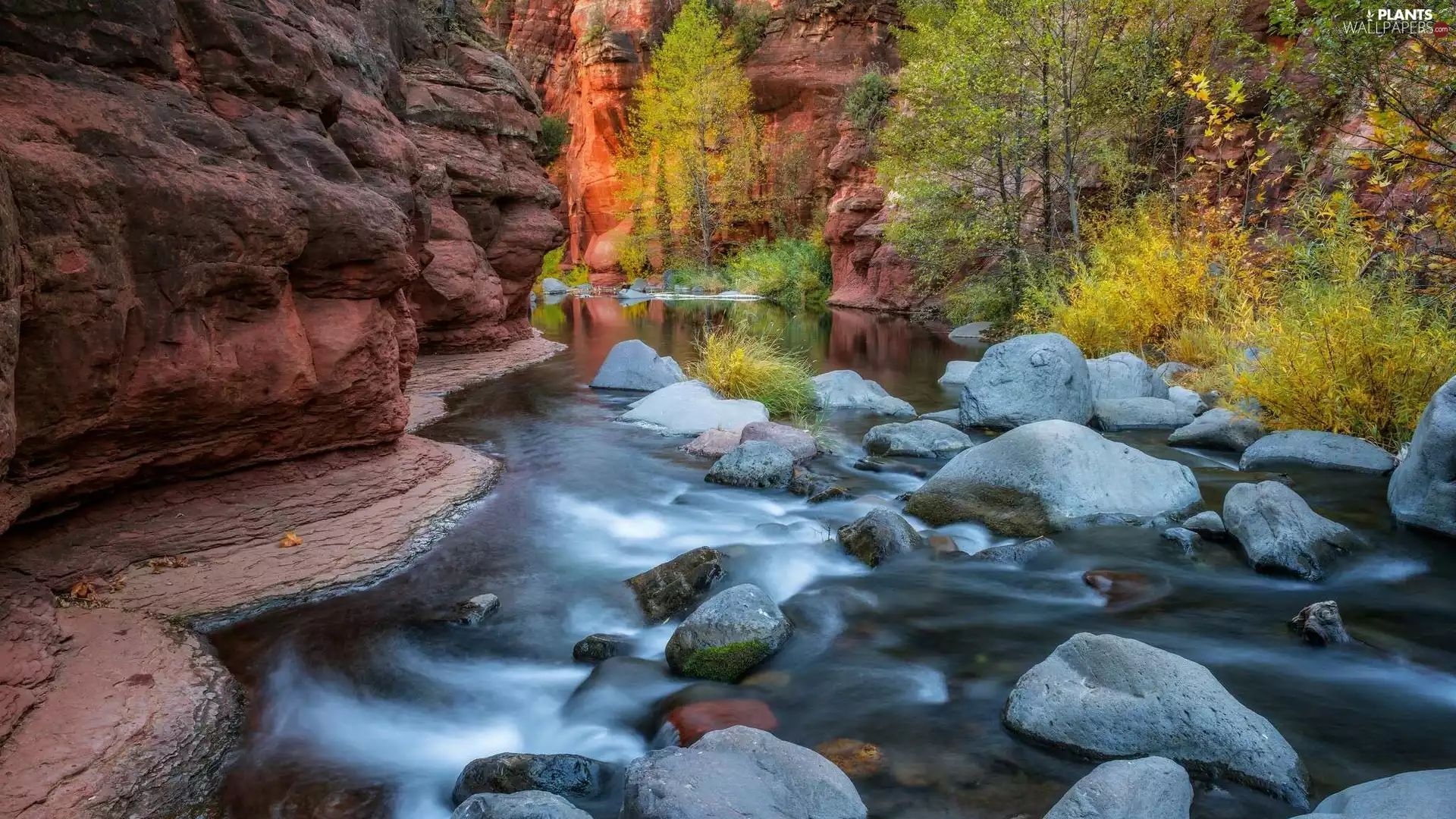 Arizona, The United States, Sedona, Oak Creek Canyon, trees, viewes, rocks, Stones, River Oak Creek