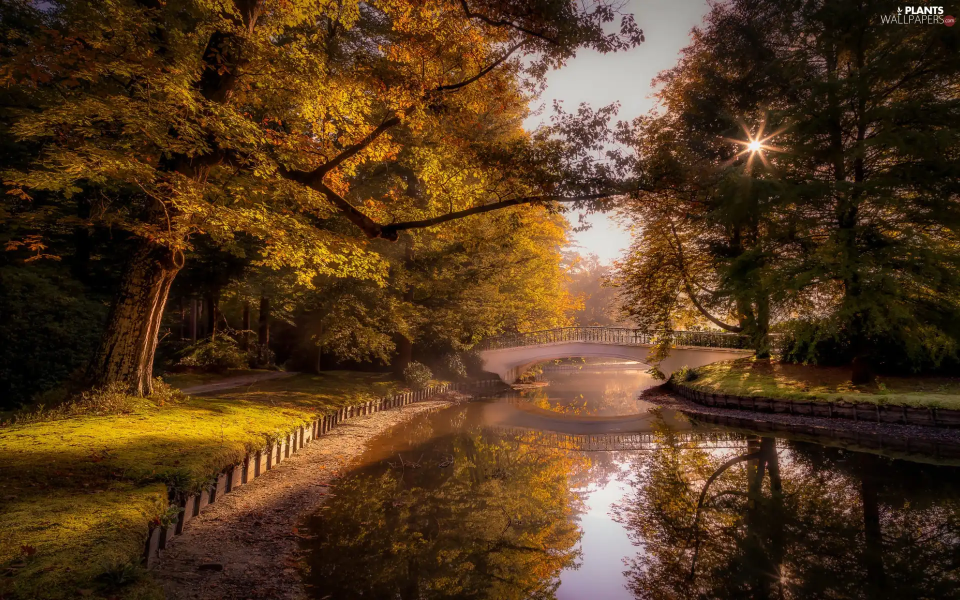 bridge, trees, autumn, viewes, rays of the Sun, Pond - car, Park, reflection