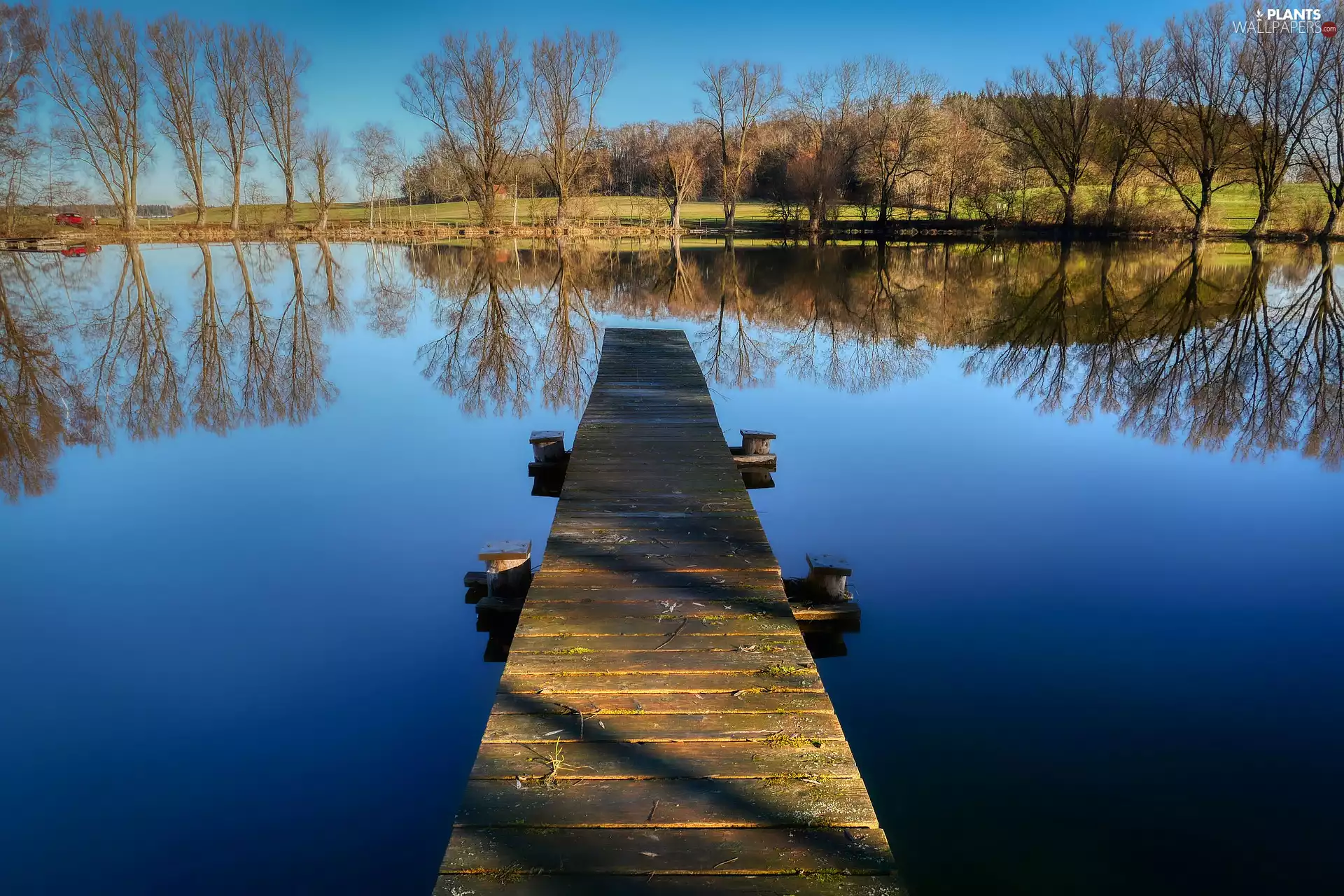 trees, viewes, Pond - car, Platform, autumn