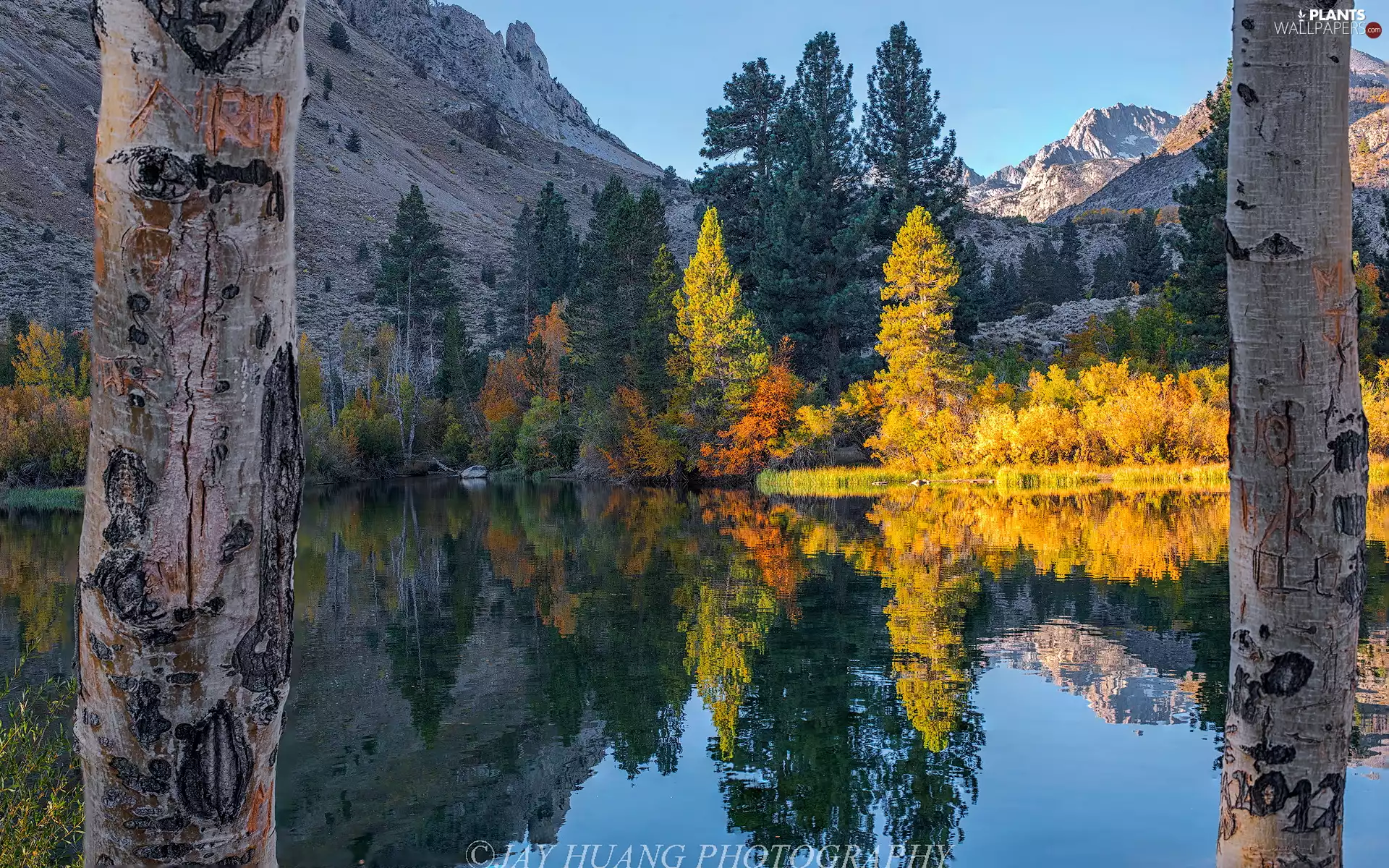 viewes, Mountains, Pond - car, trees, autumn