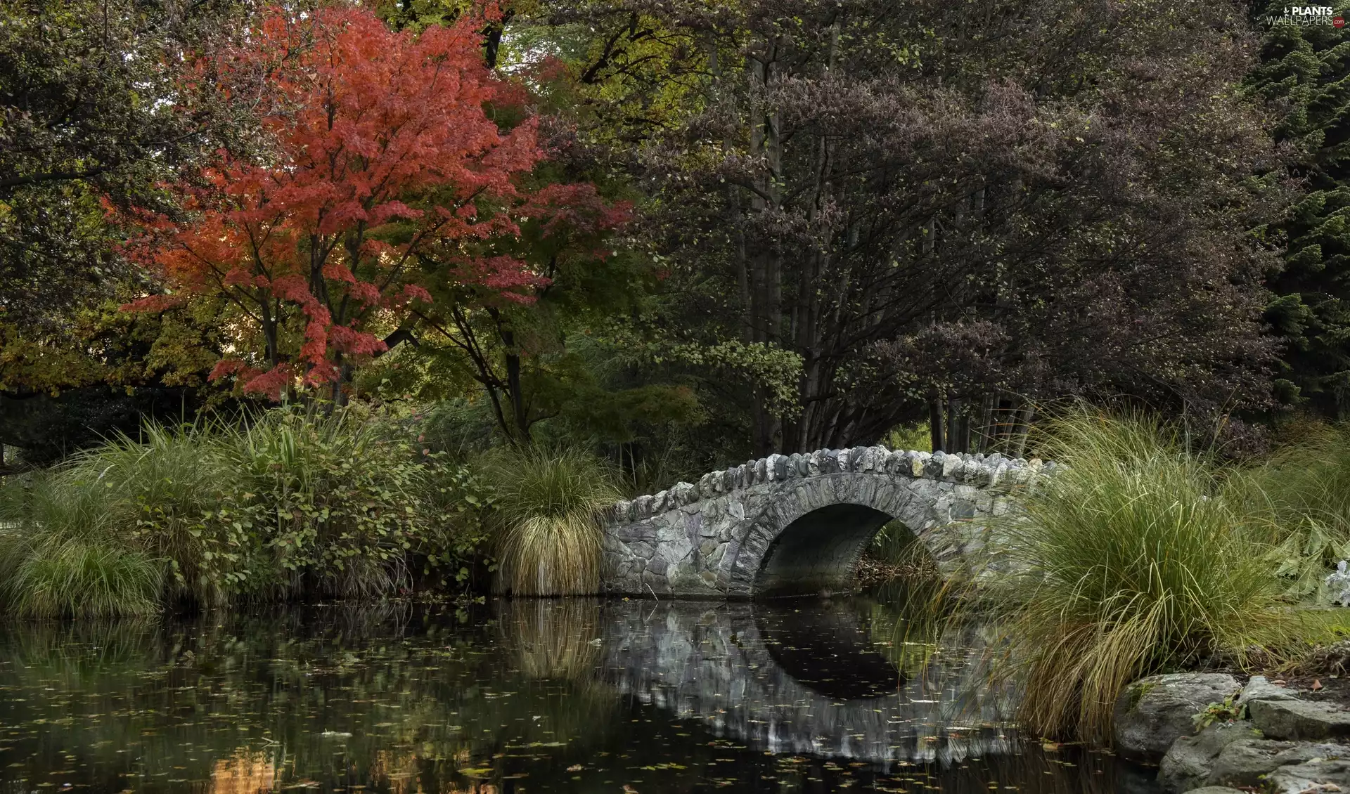 grass, trees, bridge, viewes, Park, stone, Pond - car