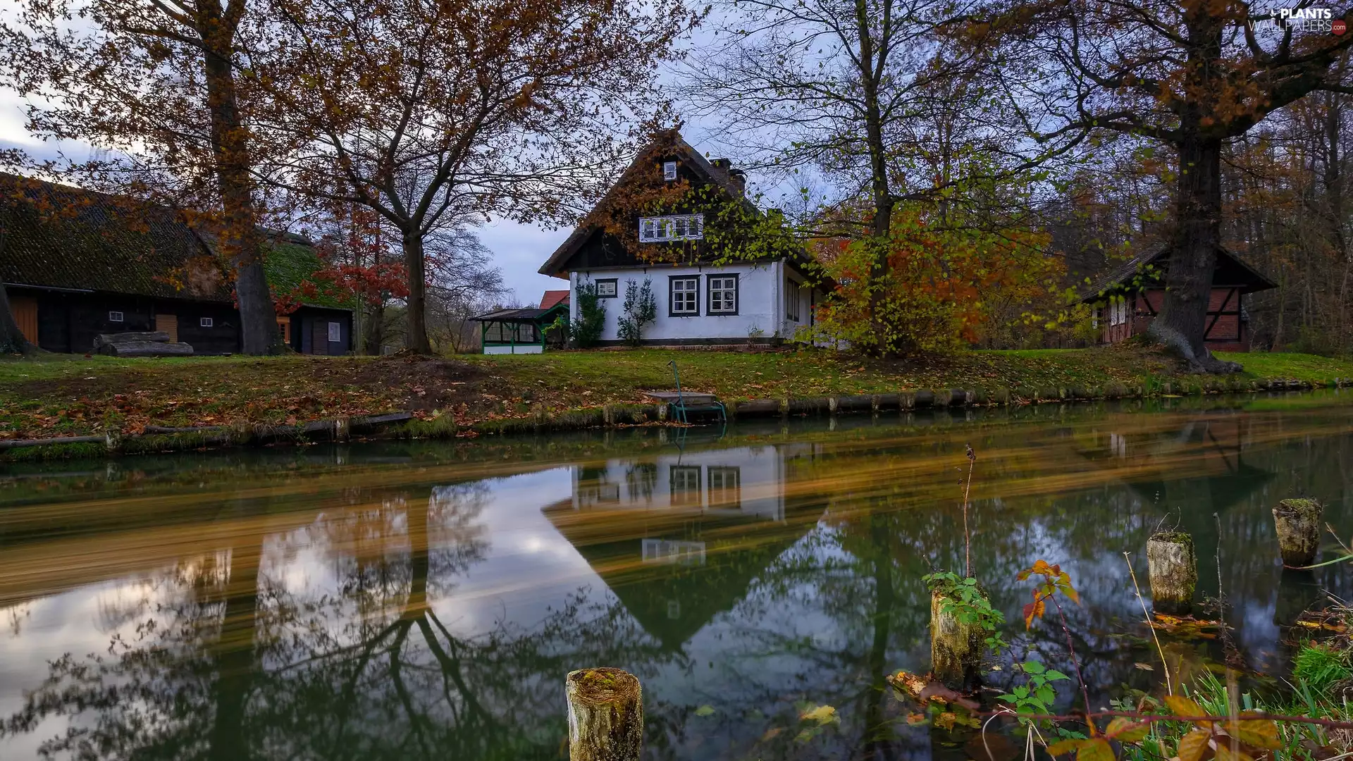 viewes, reflection, Pond - car, trees, Houses