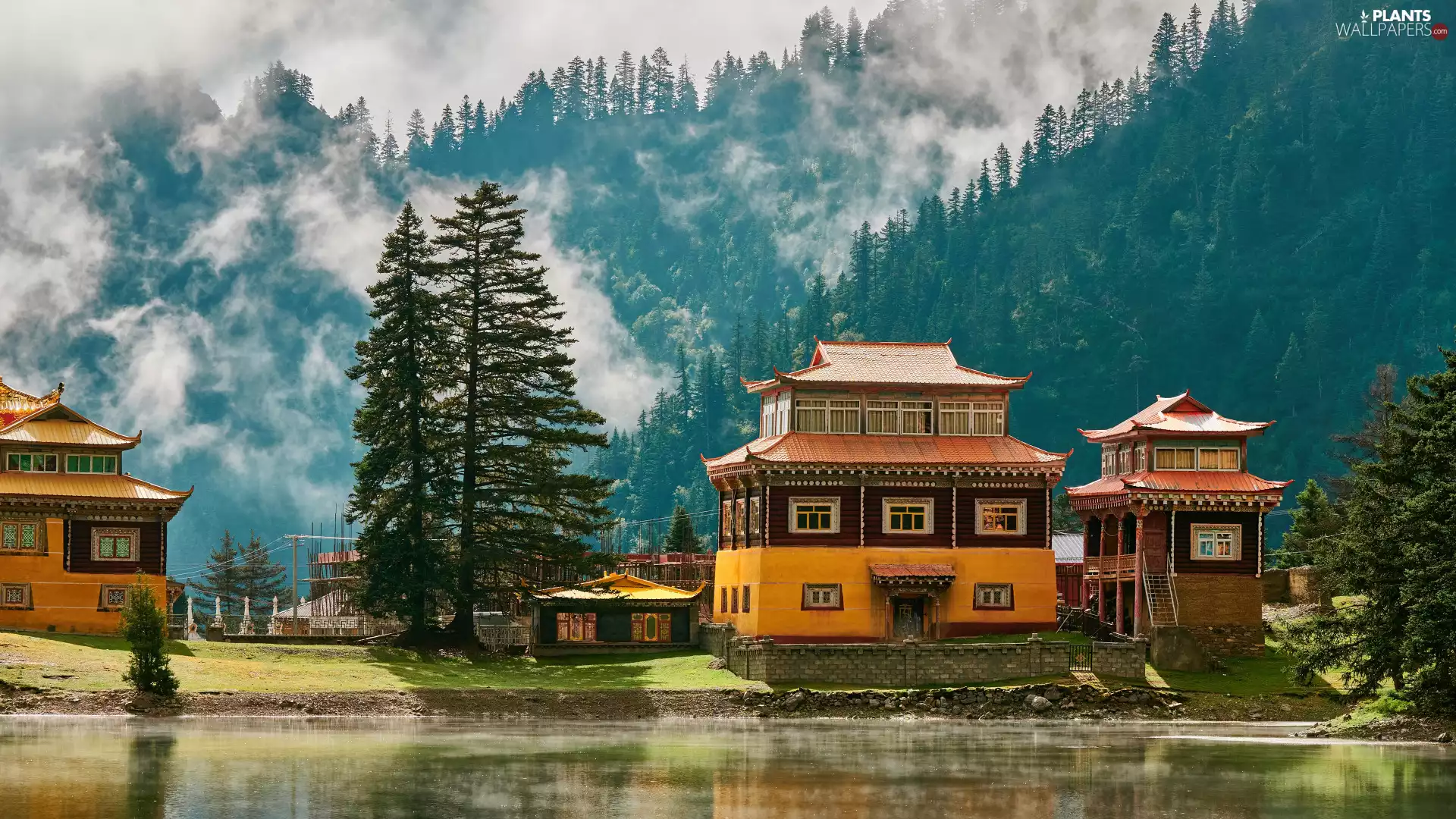 Mountains, trees, Houses, viewes, forest, Fog, Pond - car