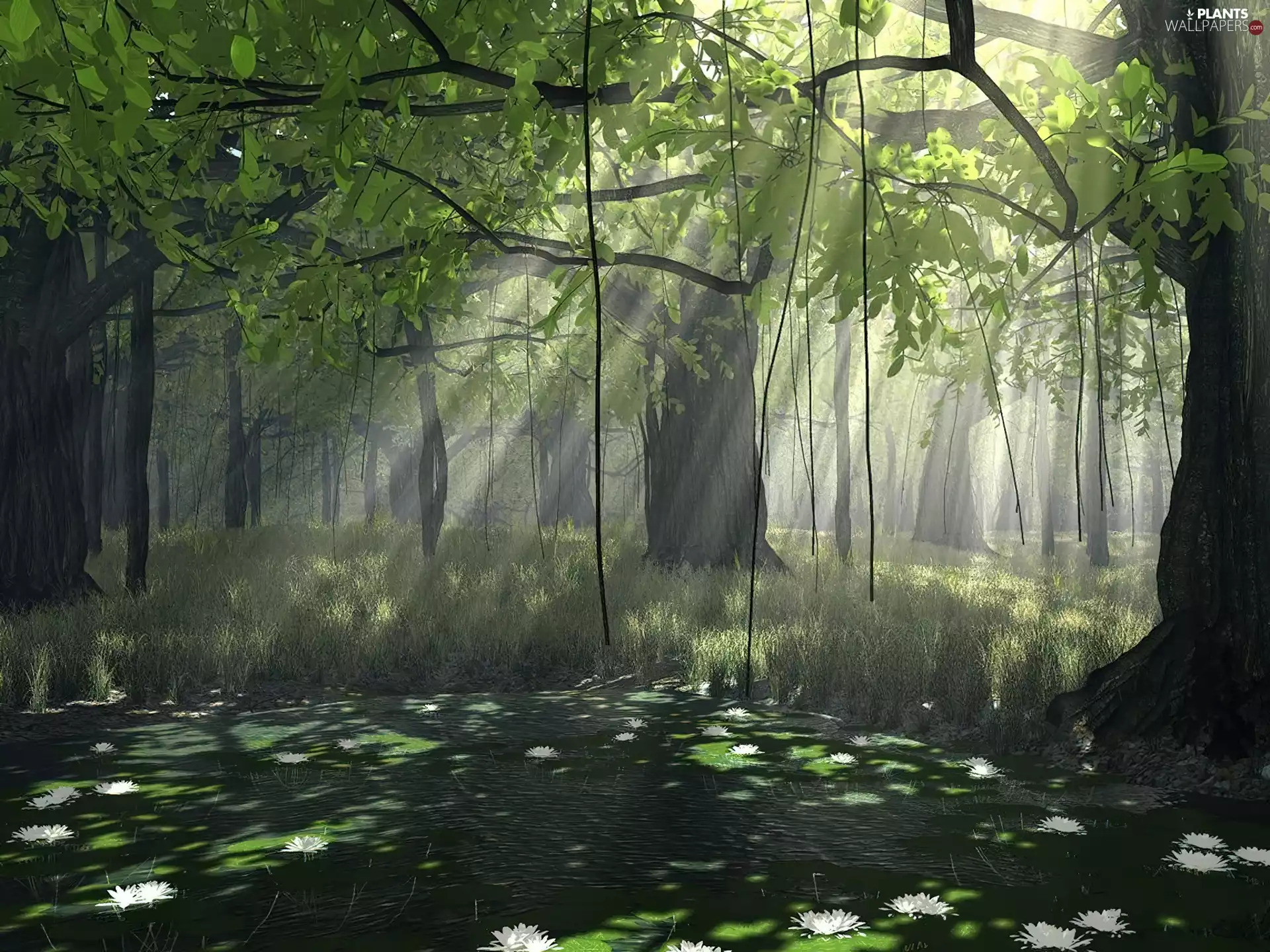 Forest, Przebijające, luminosity, ligh, flash, ##, car in the meadow, sun