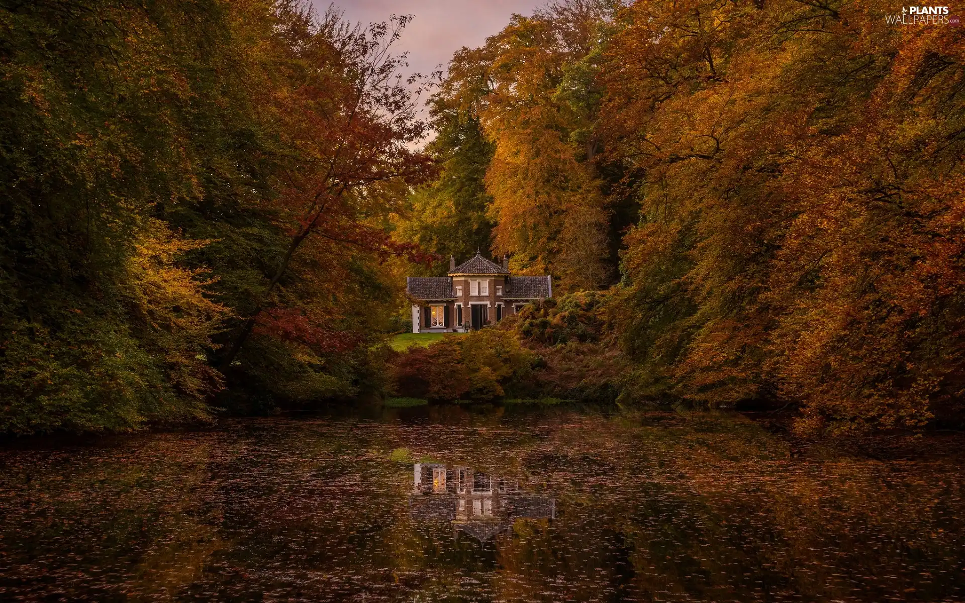 house, trees, Leaf, viewes, autumn, fallen, Pond - car