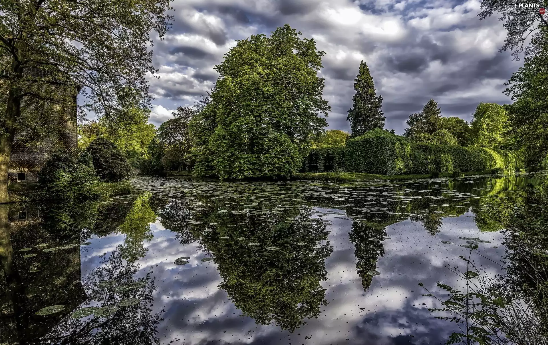 Ornamental Shrubs, Park, viewes, reflection, trees, Pond - car