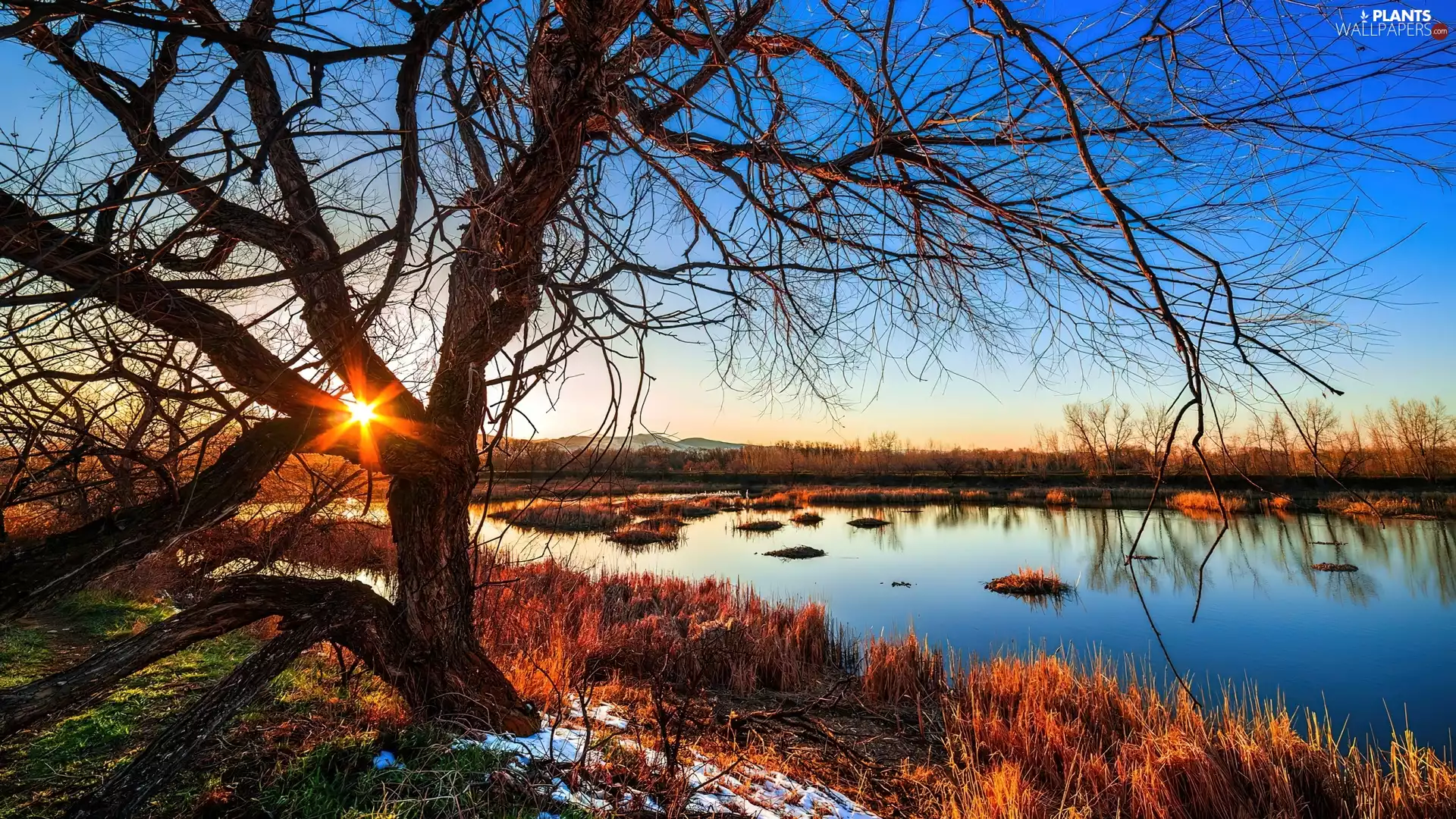 Pond - car, trees, Great Sunsets