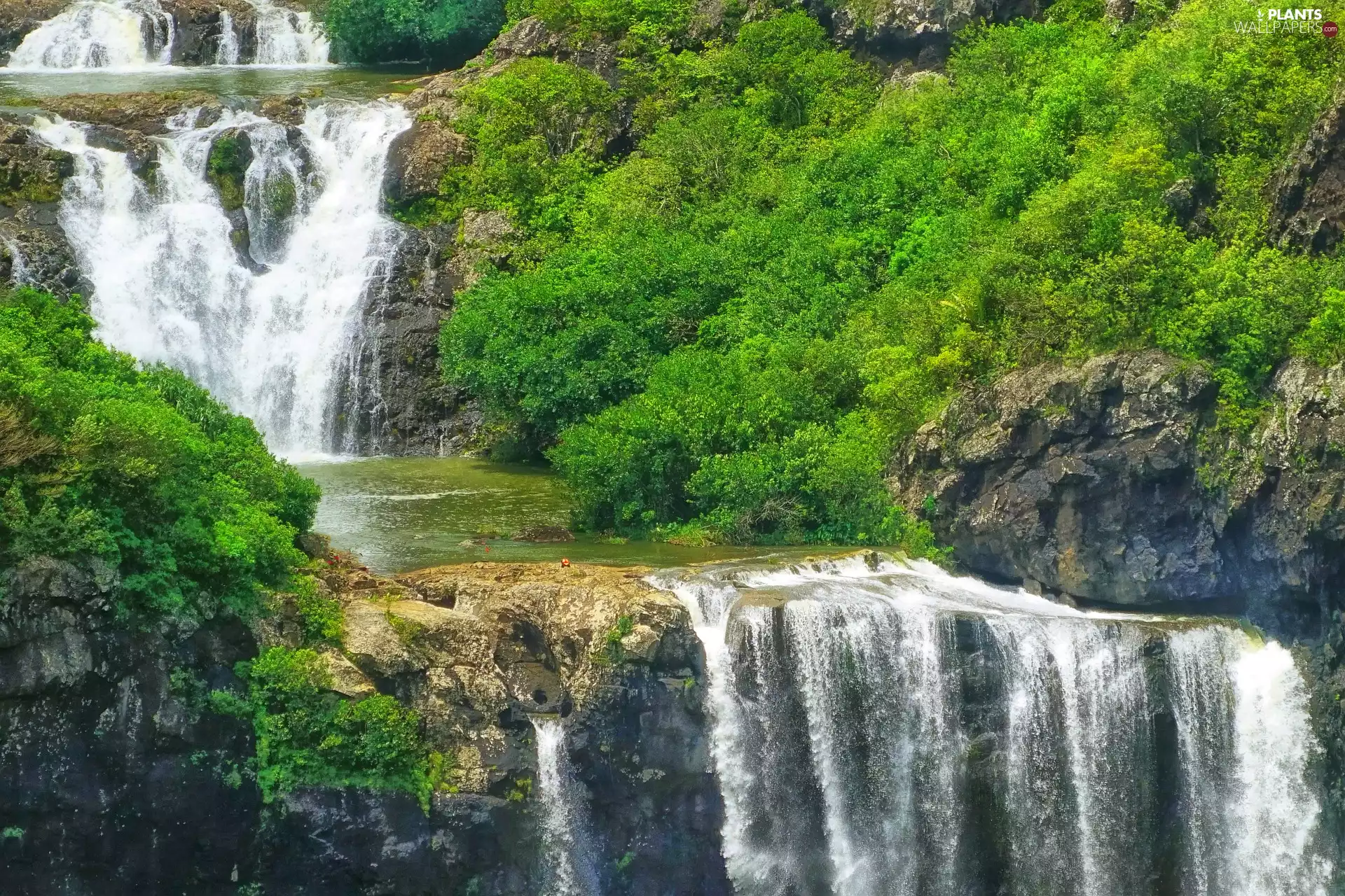 waterfall, rocks, Bush, cascade