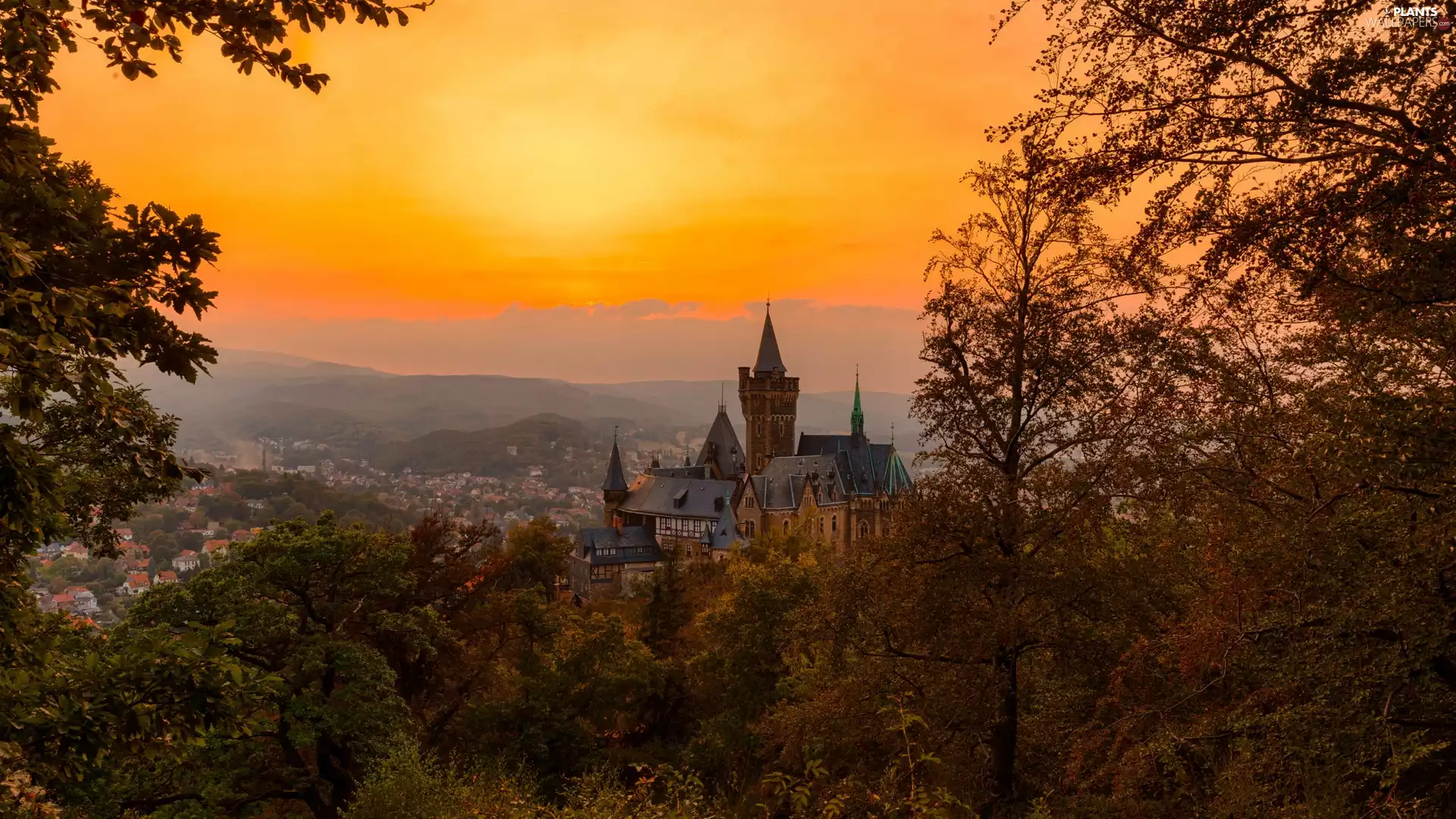 City Wernigerode, Wernigerode Castle Sunset, viewes, The Hills, trees, Saxony-Anhalt, Germany, forest