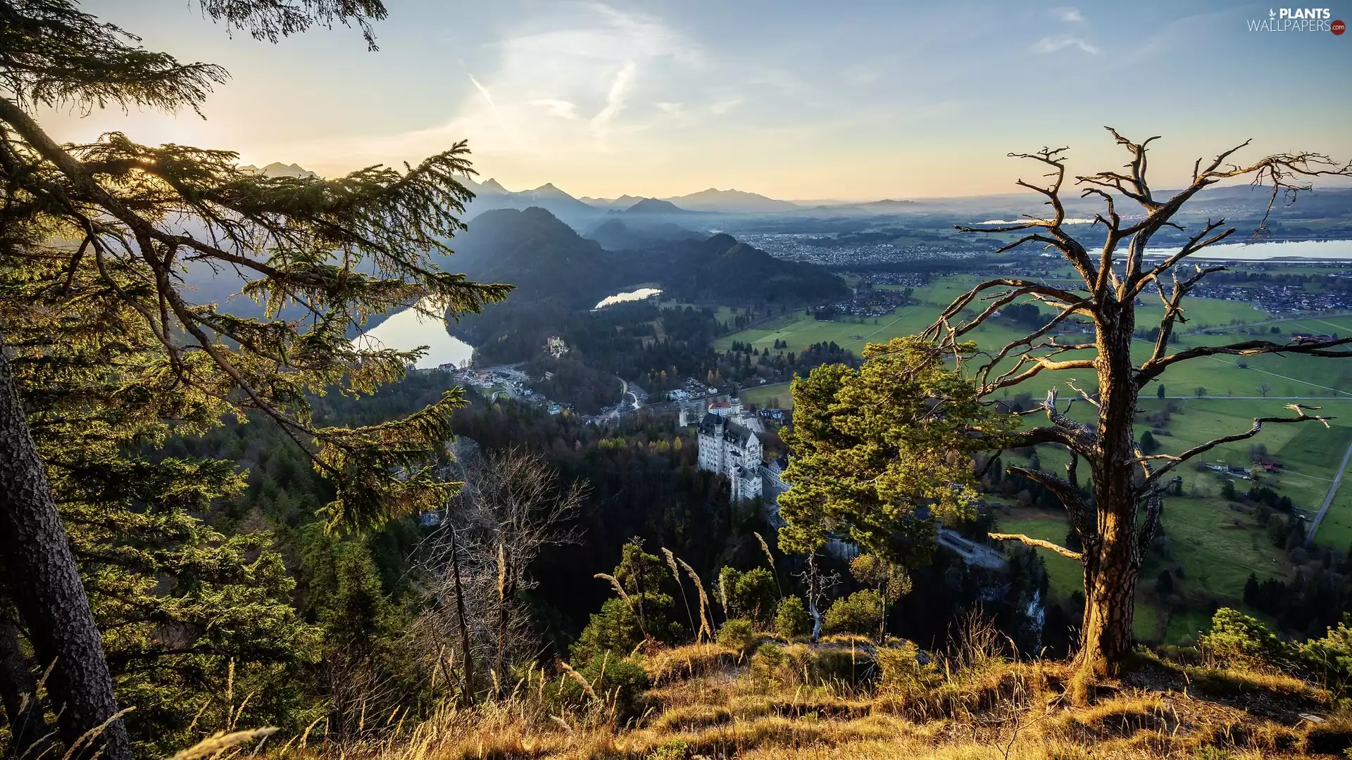River, Bavaria, viewes, Mountains, Germany, trees, Neuschwanstein Castle