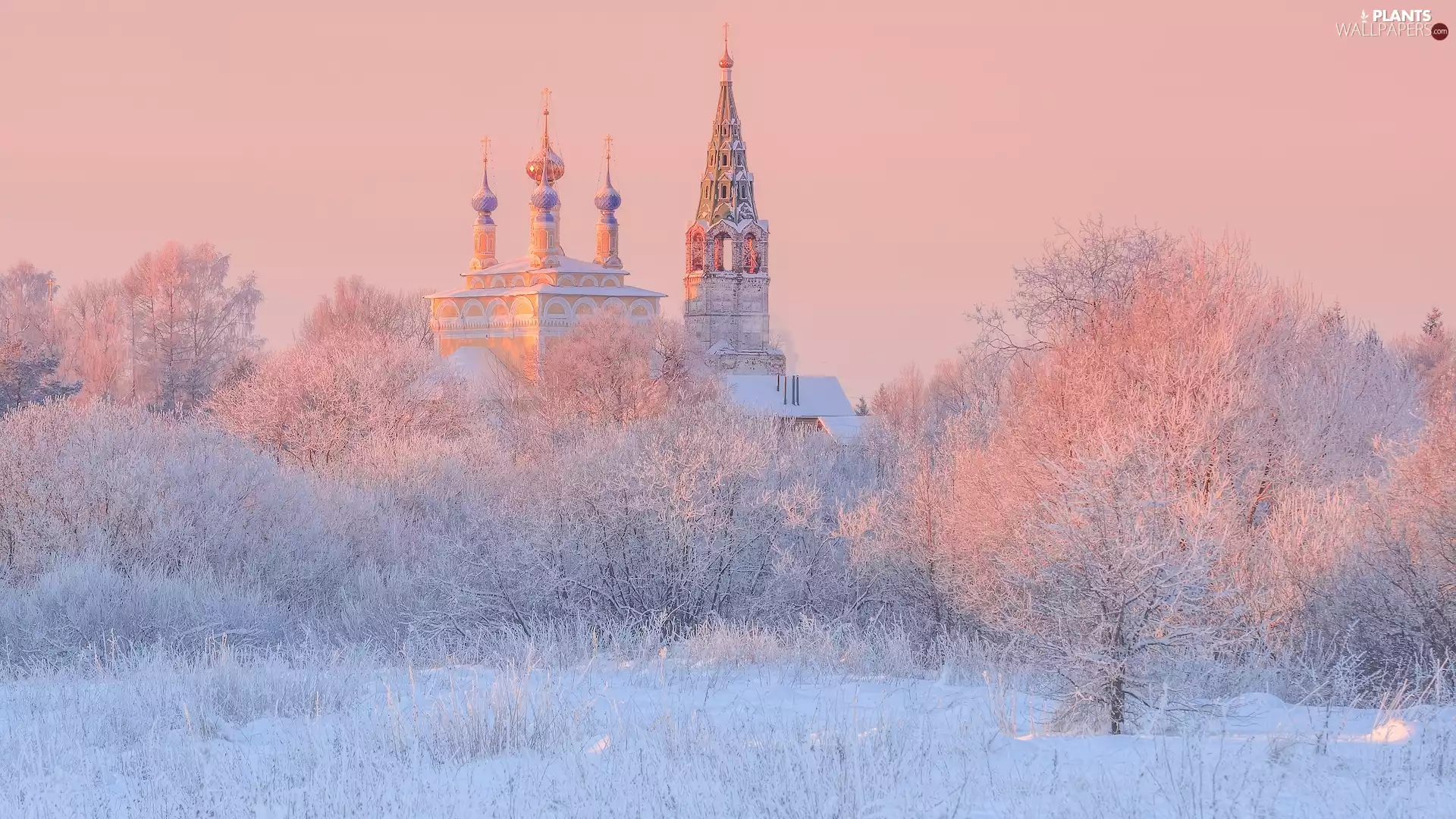 viewes, Cerkiew, frosty, trees, winter