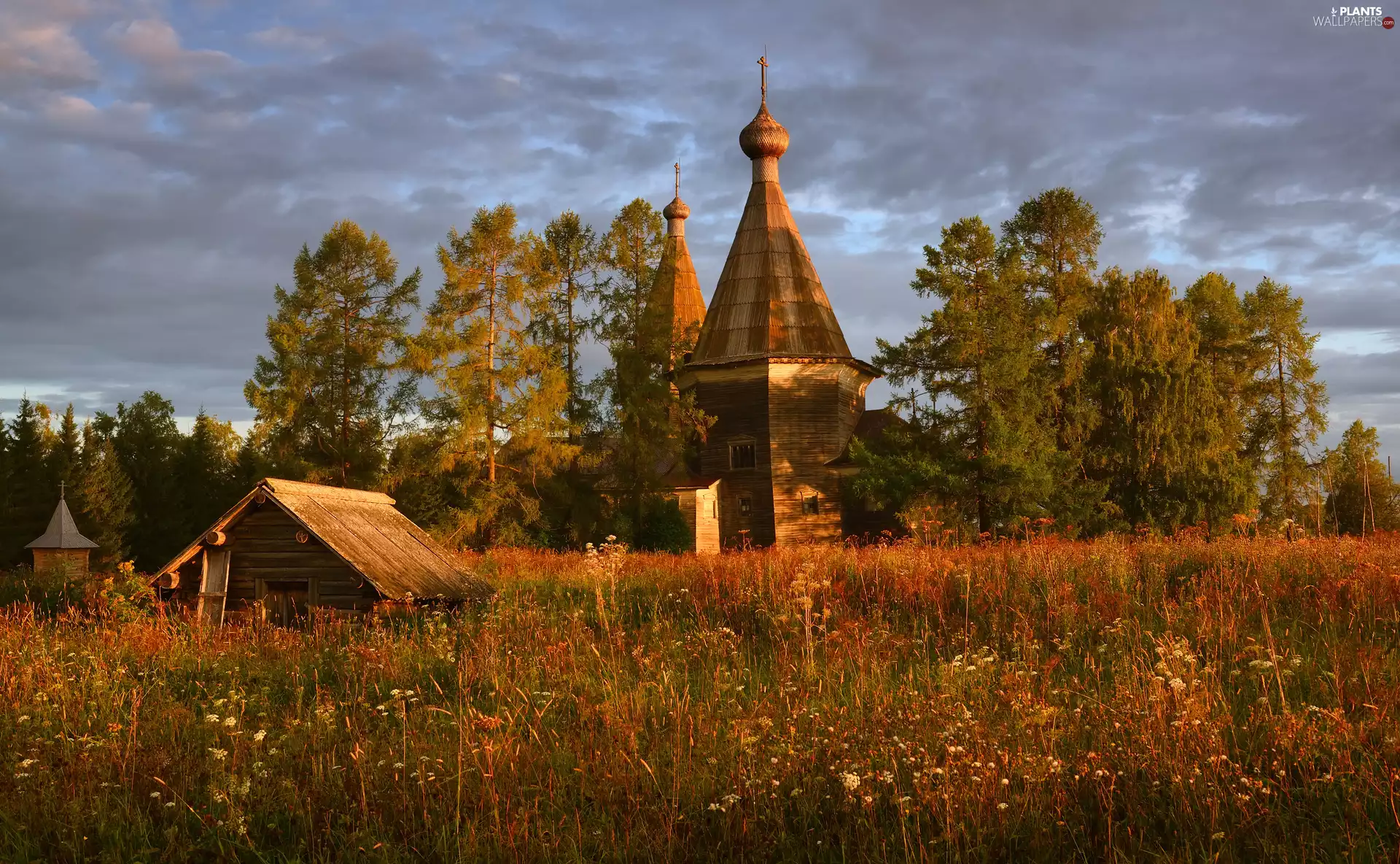 Cerkiew, trees, autumn, viewes, Plants, Arkhangelsk Oblast, Russia, grass