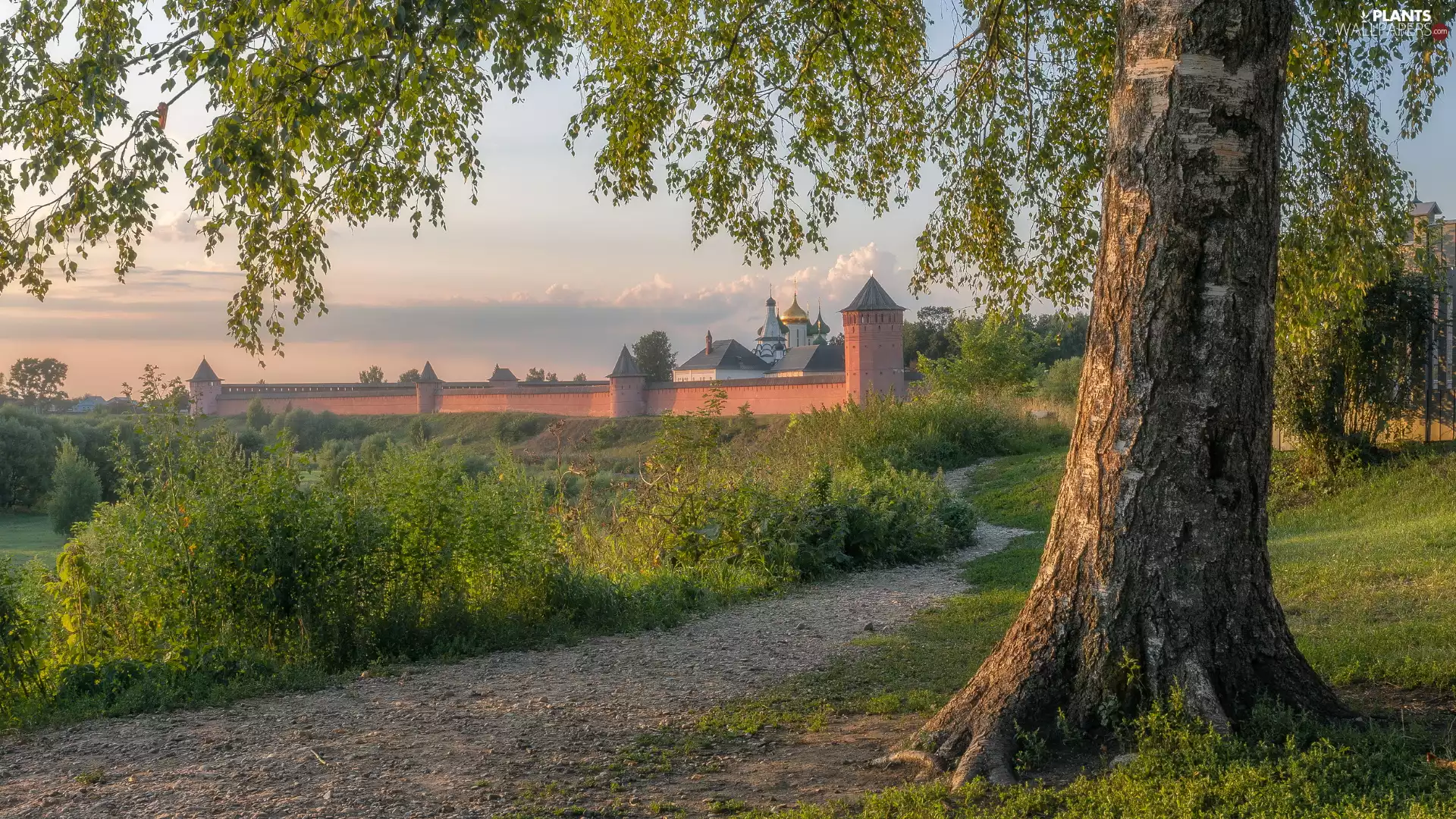 Path, summer, wall, Cerkiew, Buldings, trees