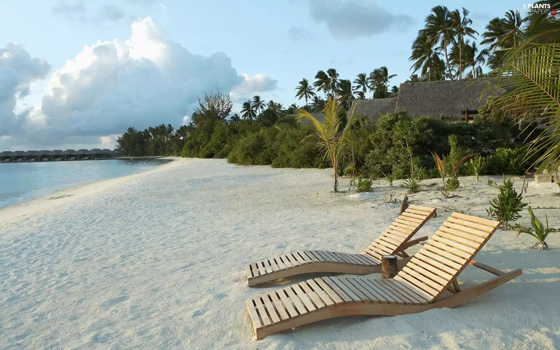 Palms, holiday, hammock chair, sea, Beaches
