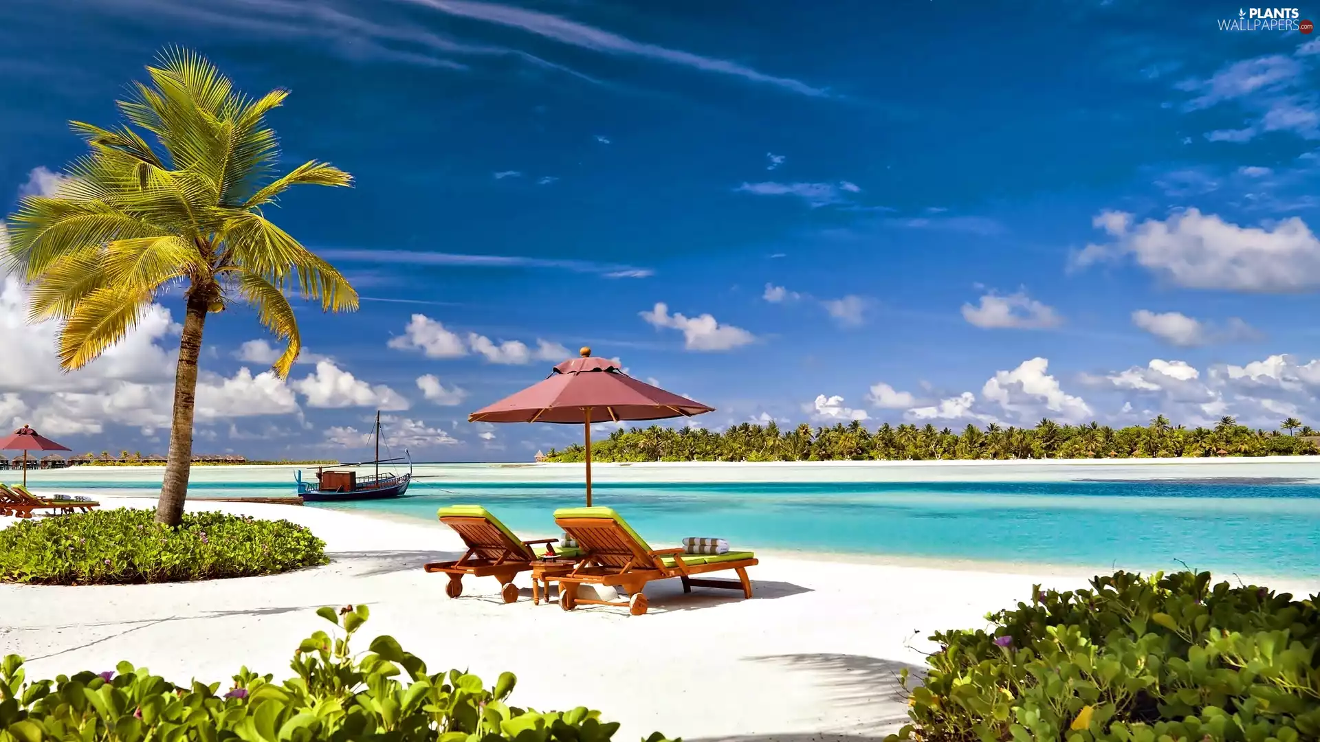 Beaches, Maldives, deck chair, holiday, Palms, Laguna