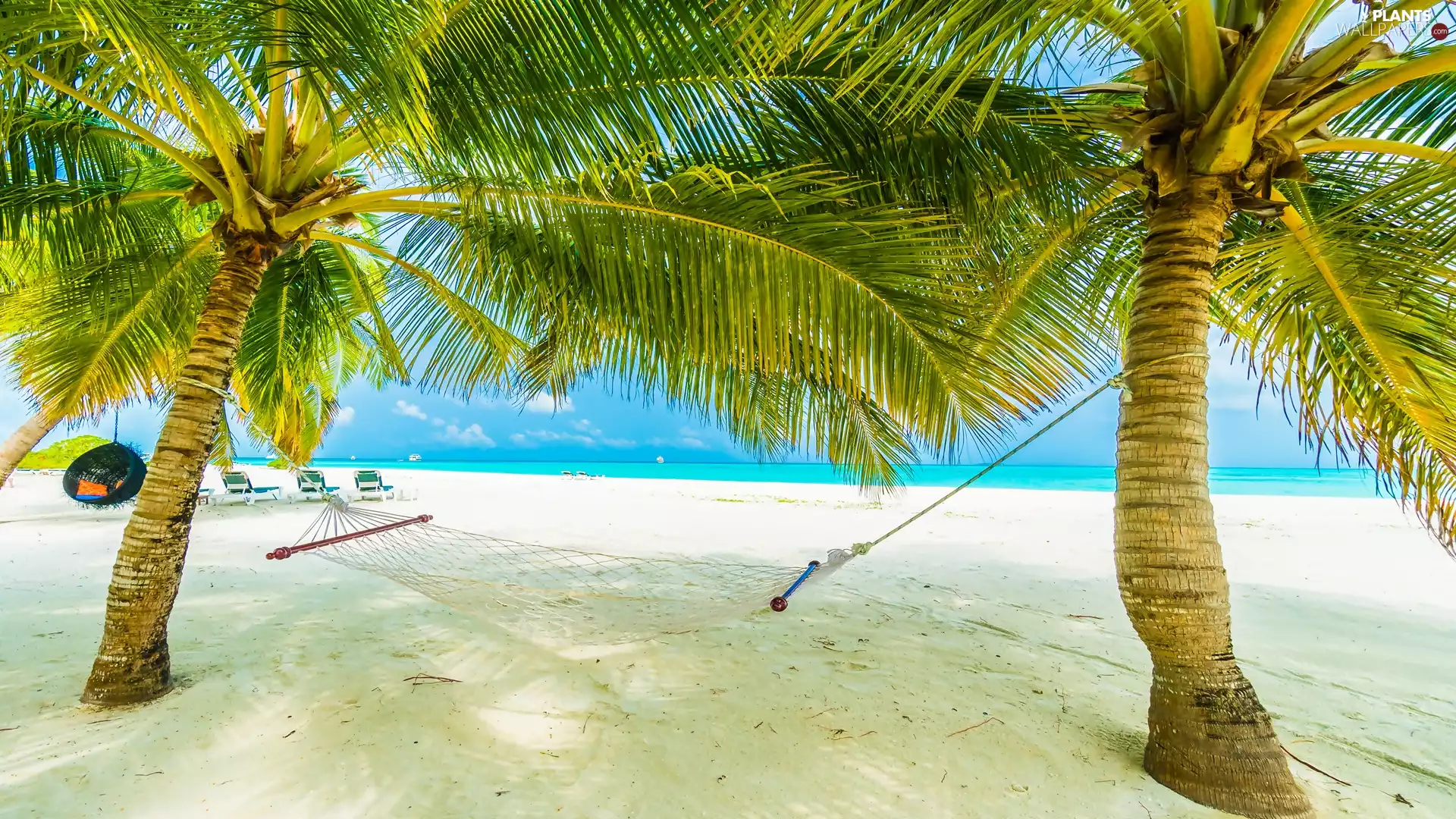 Palms, sea, deck chair, holiday, Hammock, Beaches
