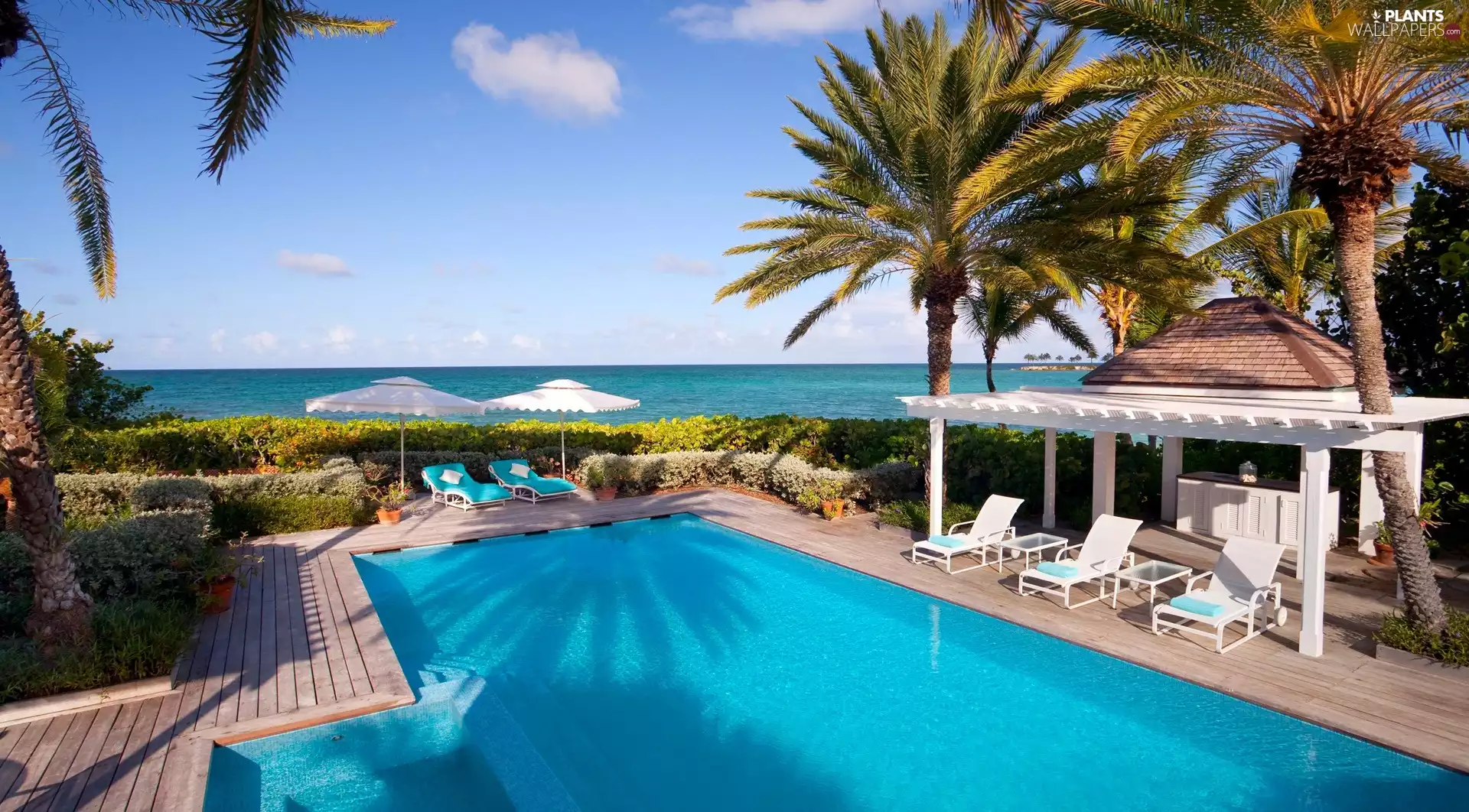 sea, holiday, deck chair, Palms, Pool
