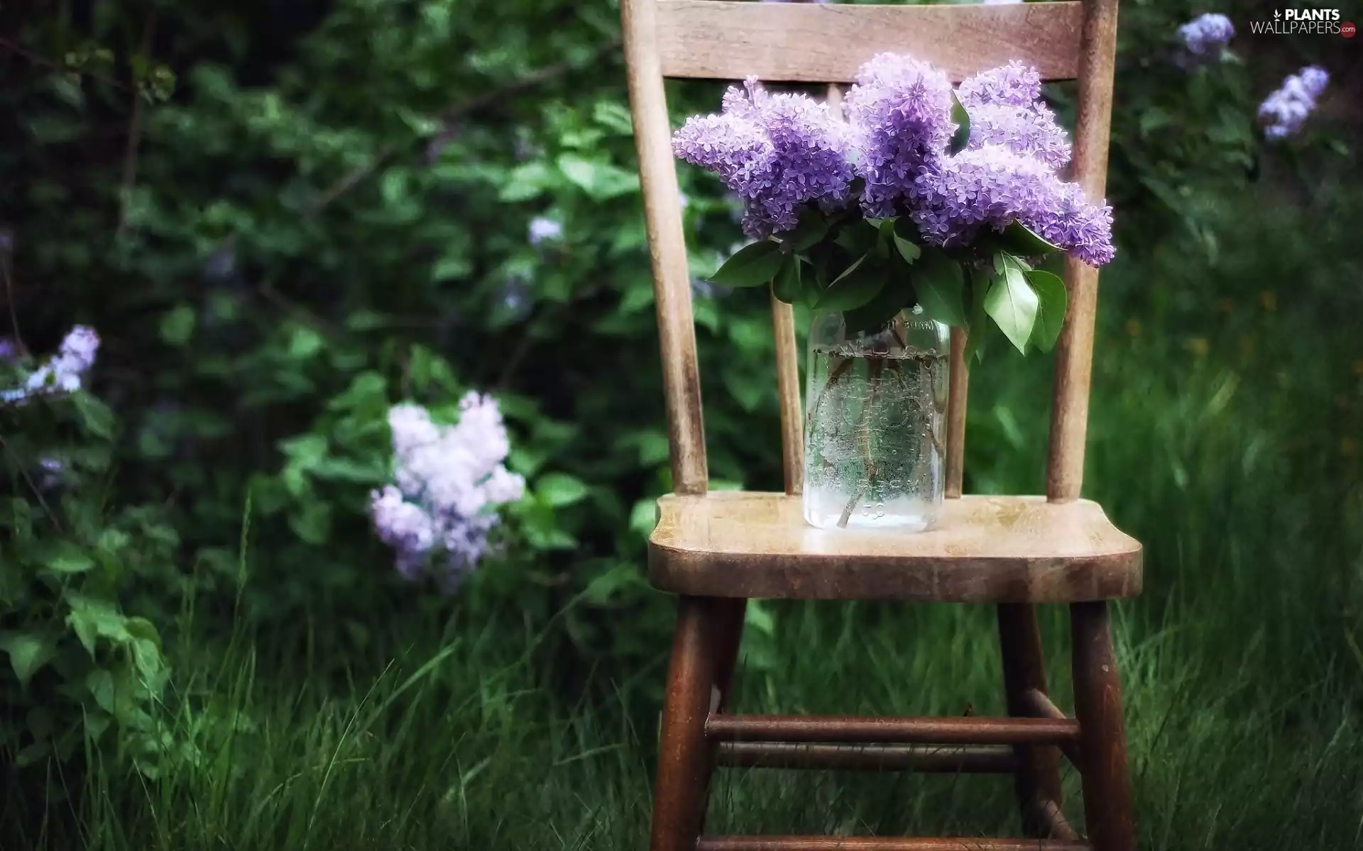 Chair, bouquet, without