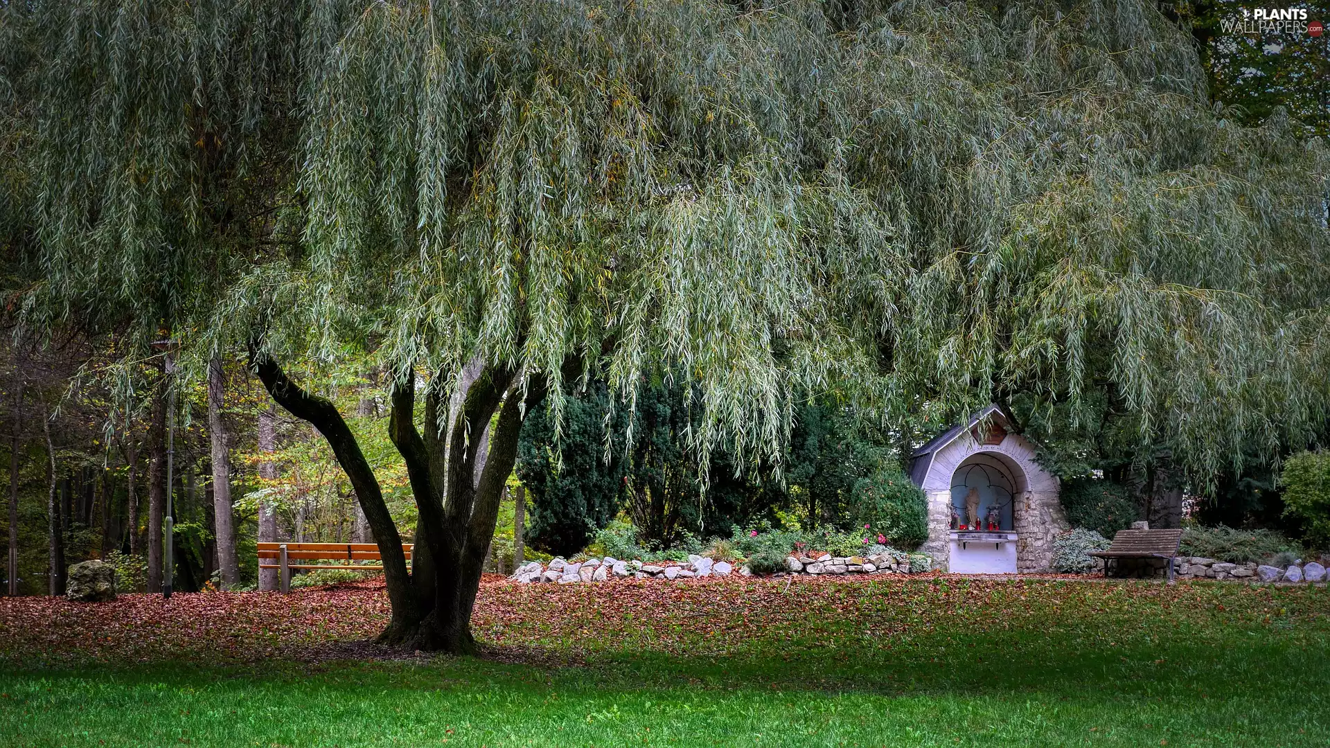 Willow, chapel, trees, viewes, Park