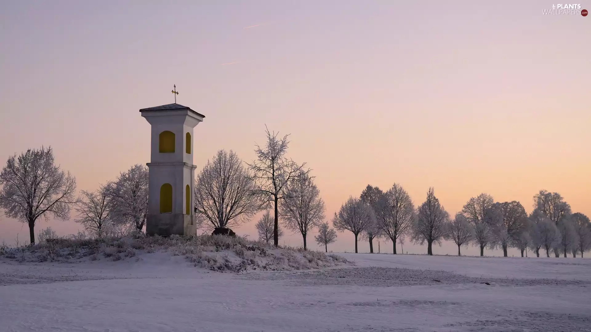 winter, trees, viewes, chapel